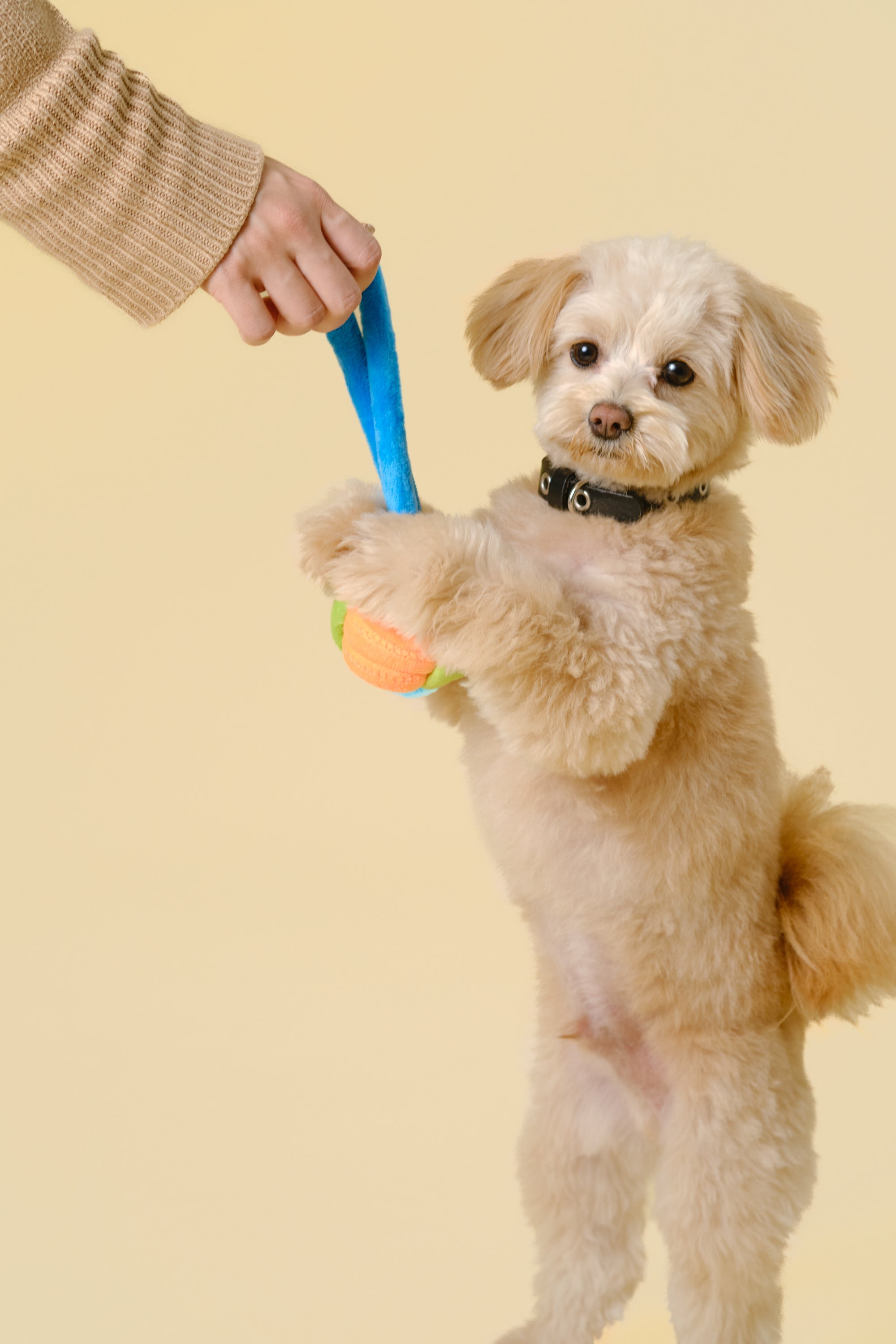 【礼品盒】随机玩具组合装