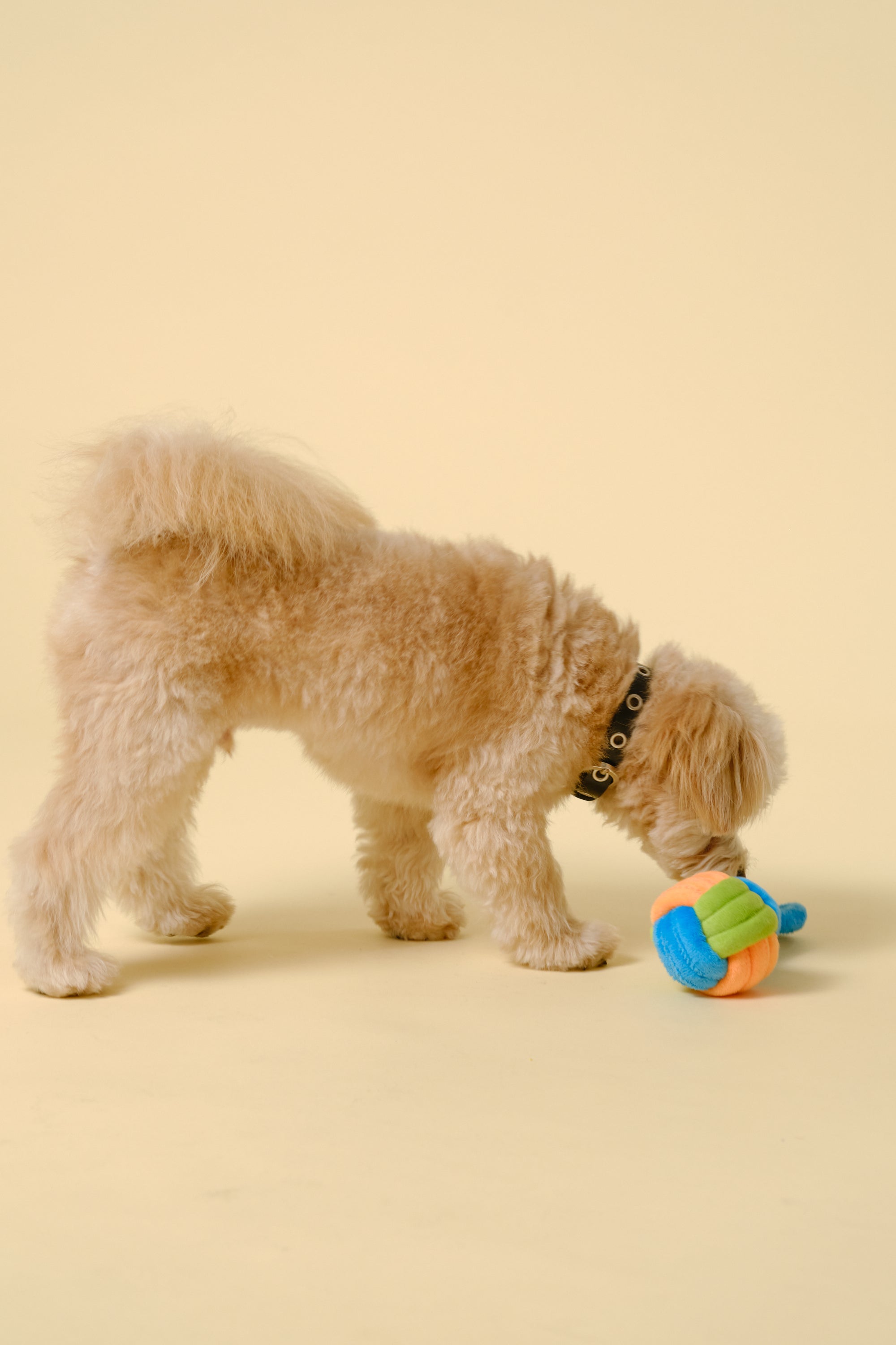 【狗狗玩具】带手柄软球