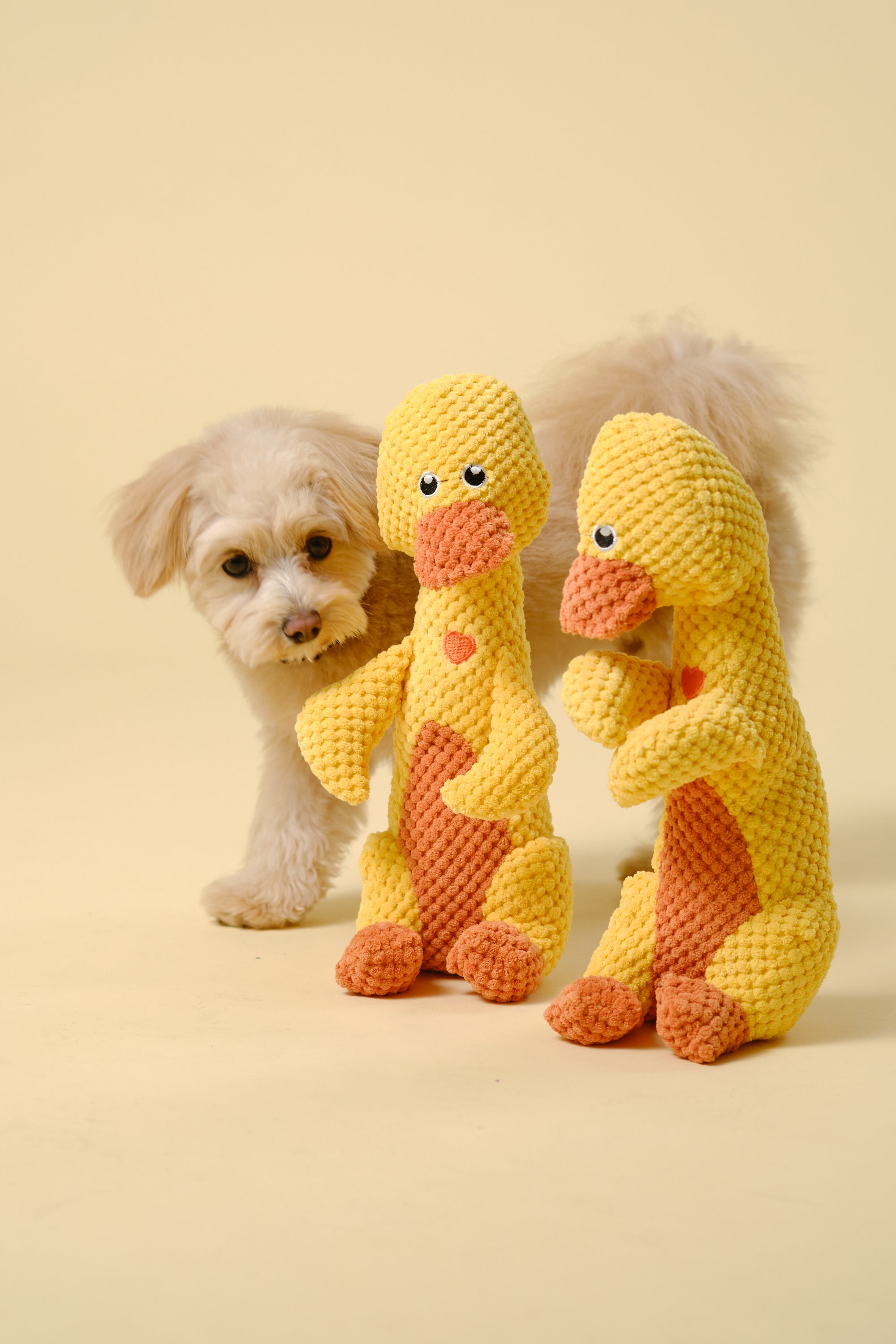 【狗狗玩具】发声大玩具（鸭子）