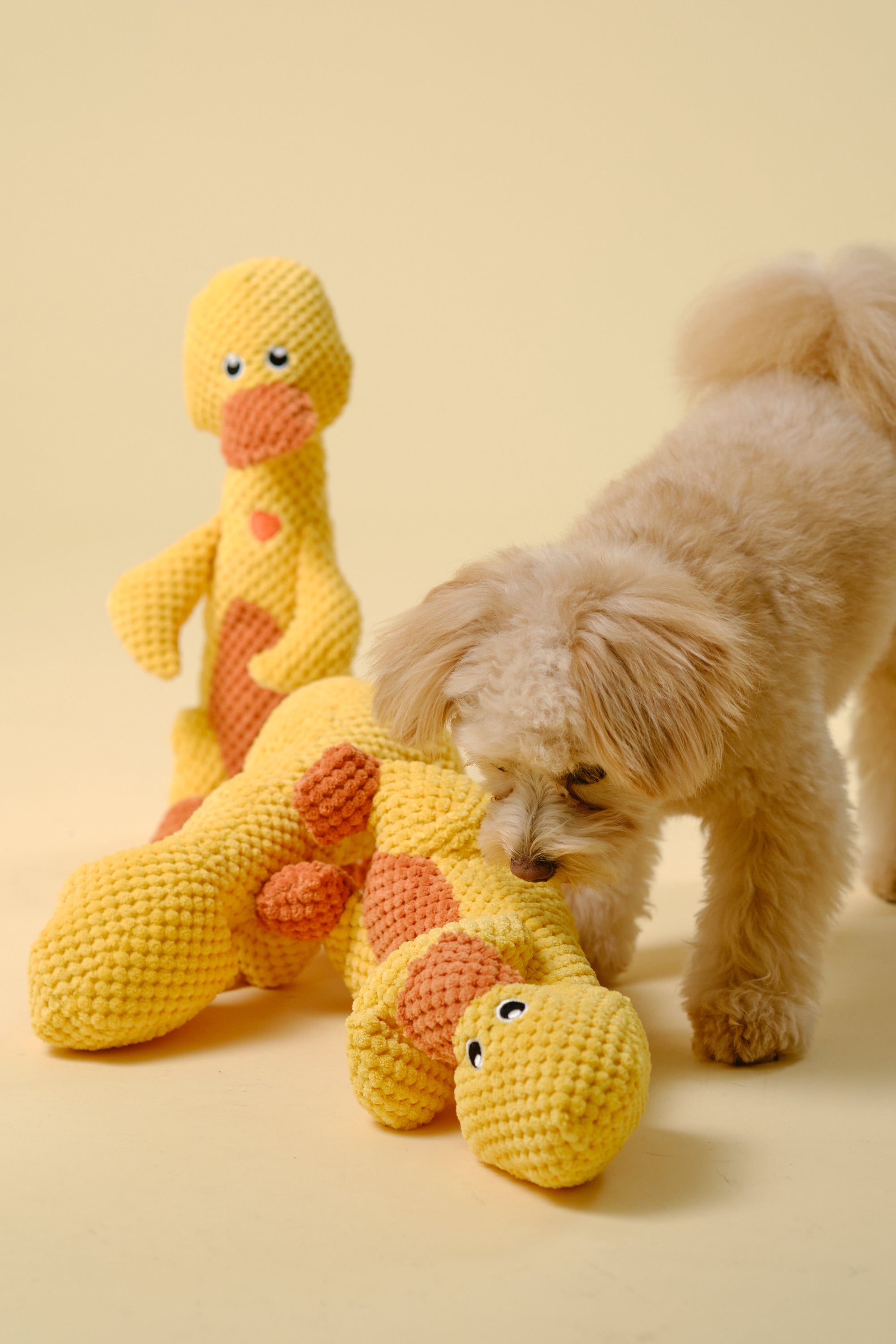 【狗狗玩具】发声大玩具（鸭子）