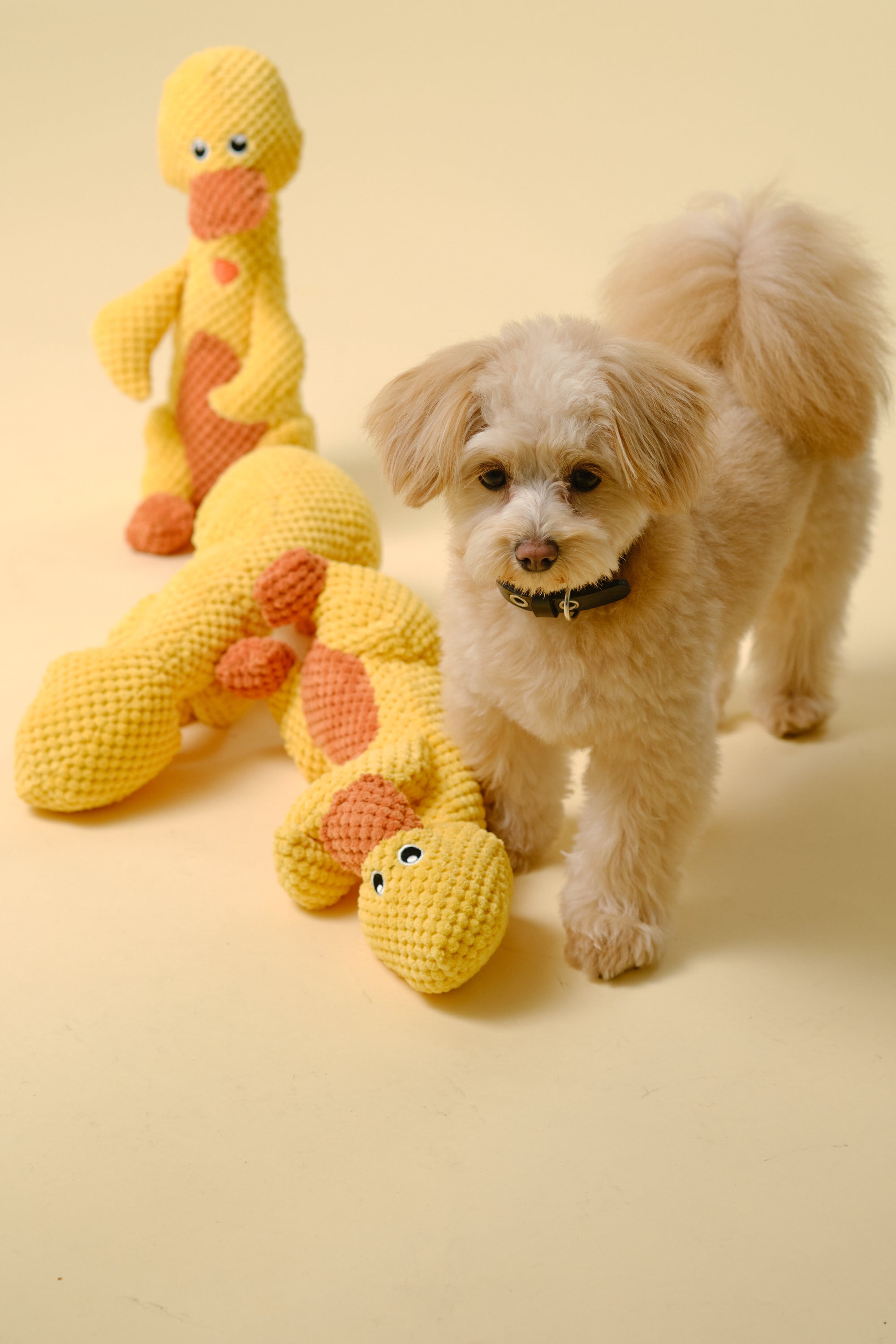 【狗狗玩具】发声大玩具（鸭子）