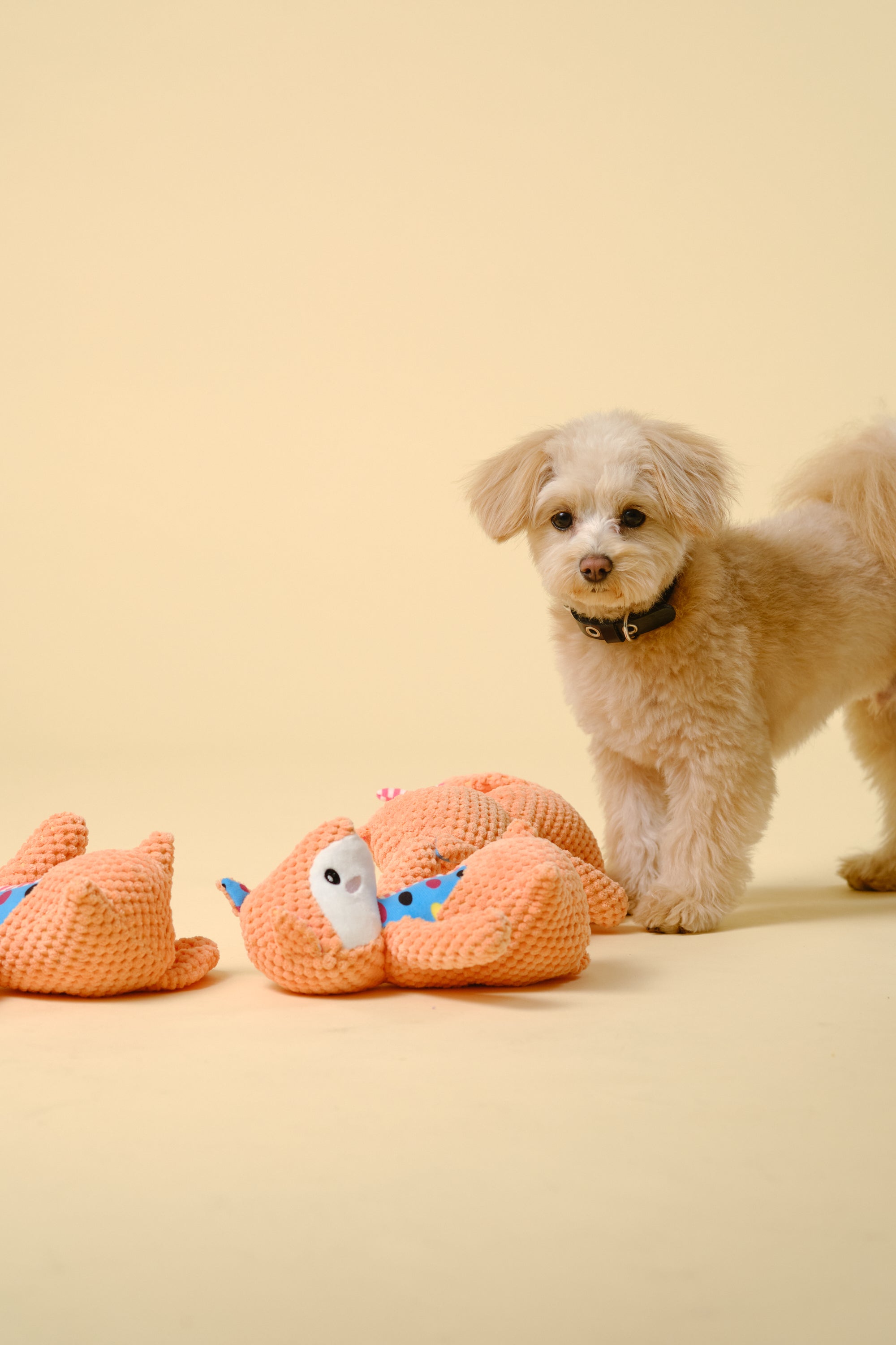 【狗狗玩具】发声大号玩具（狸猫）