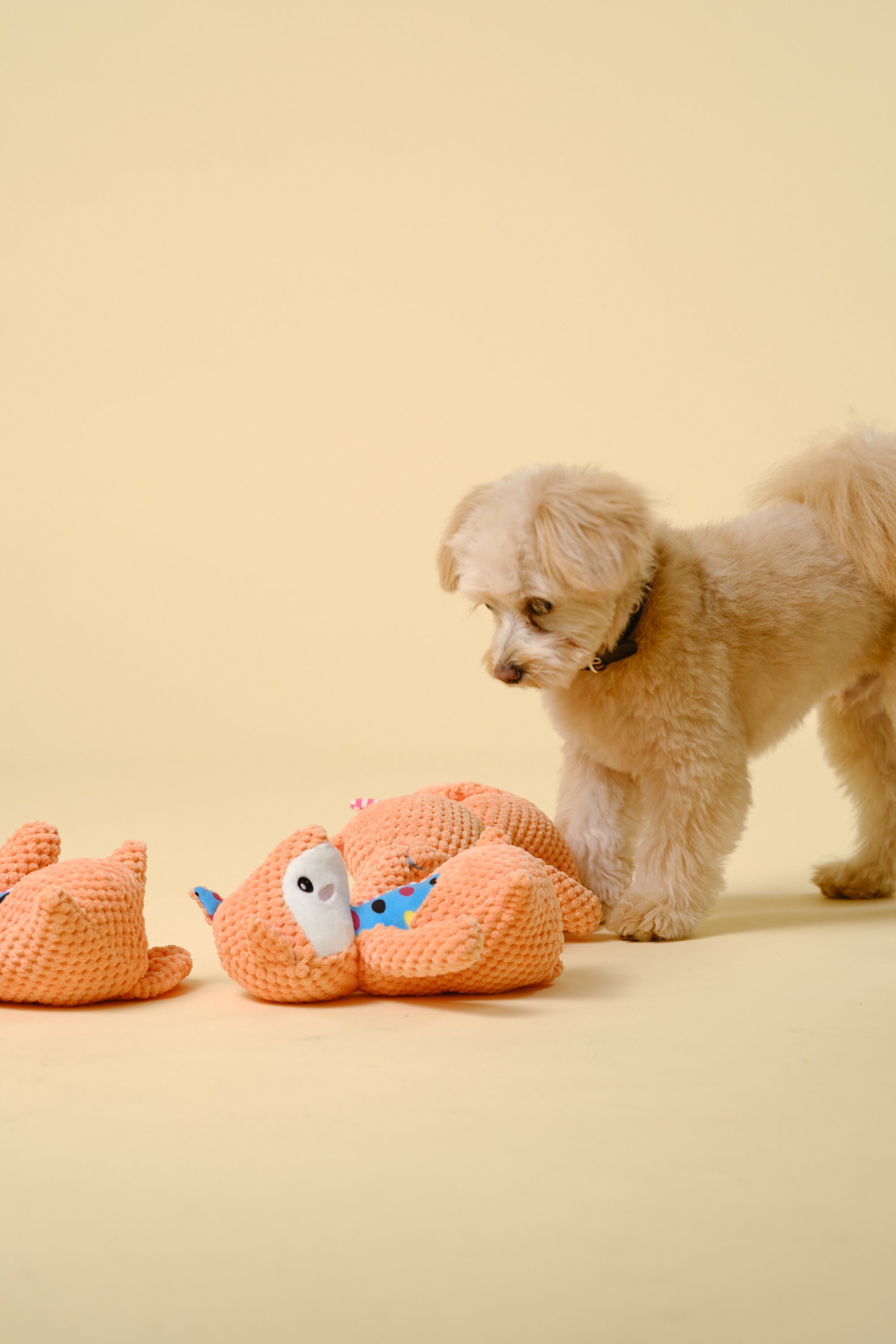 【狗狗玩具】发声大号玩具（狸猫）