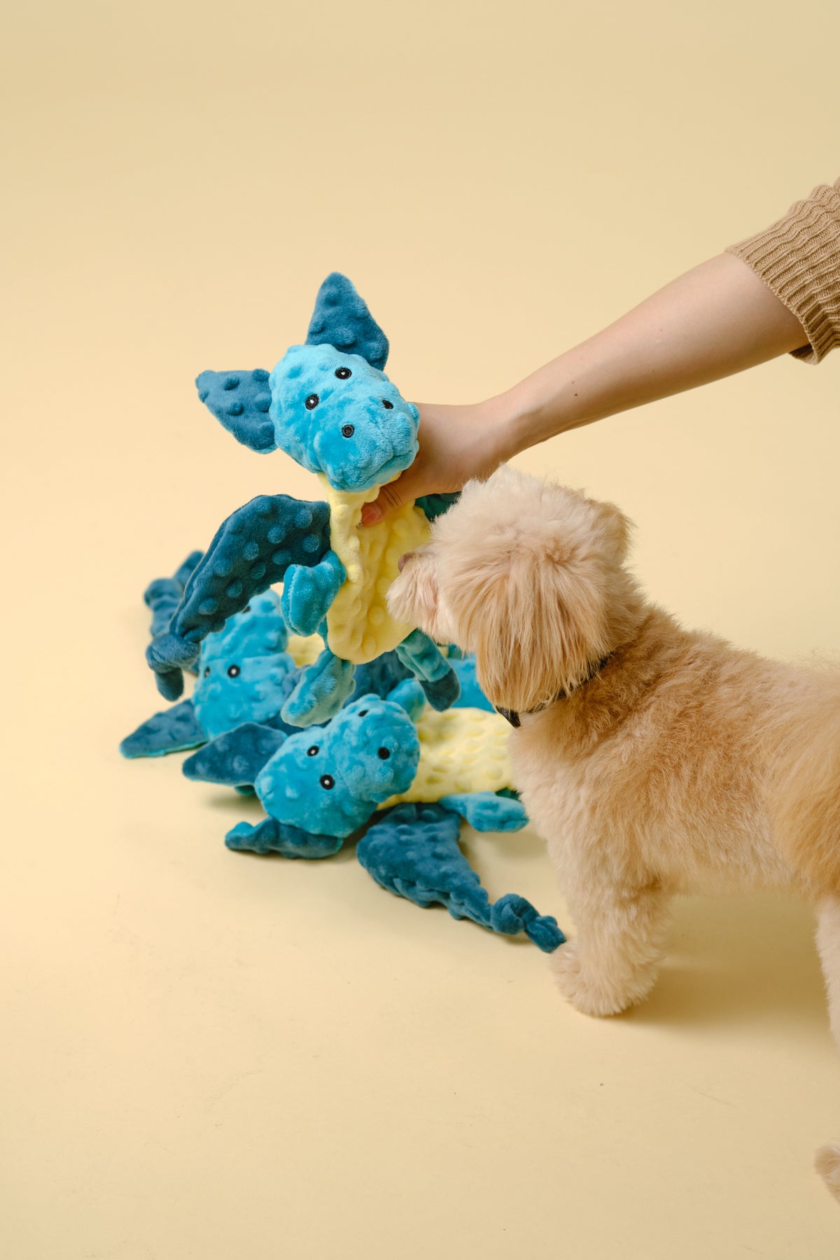 【犬用おもちゃ】かしゃかしゃアニマルトイ（コウモリ）