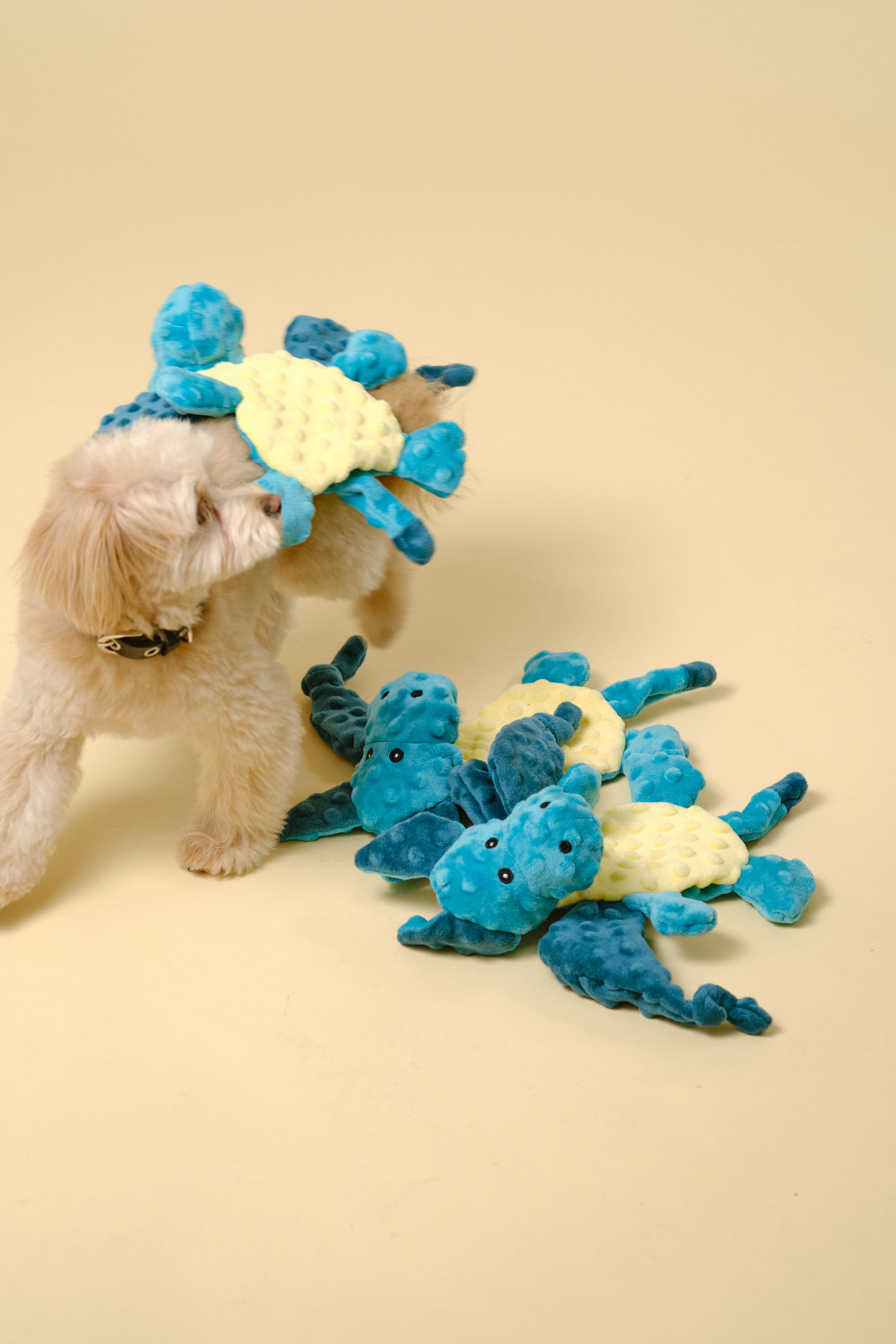 【狗狗玩具】沙沙作响动物玩具（蝙蝠）