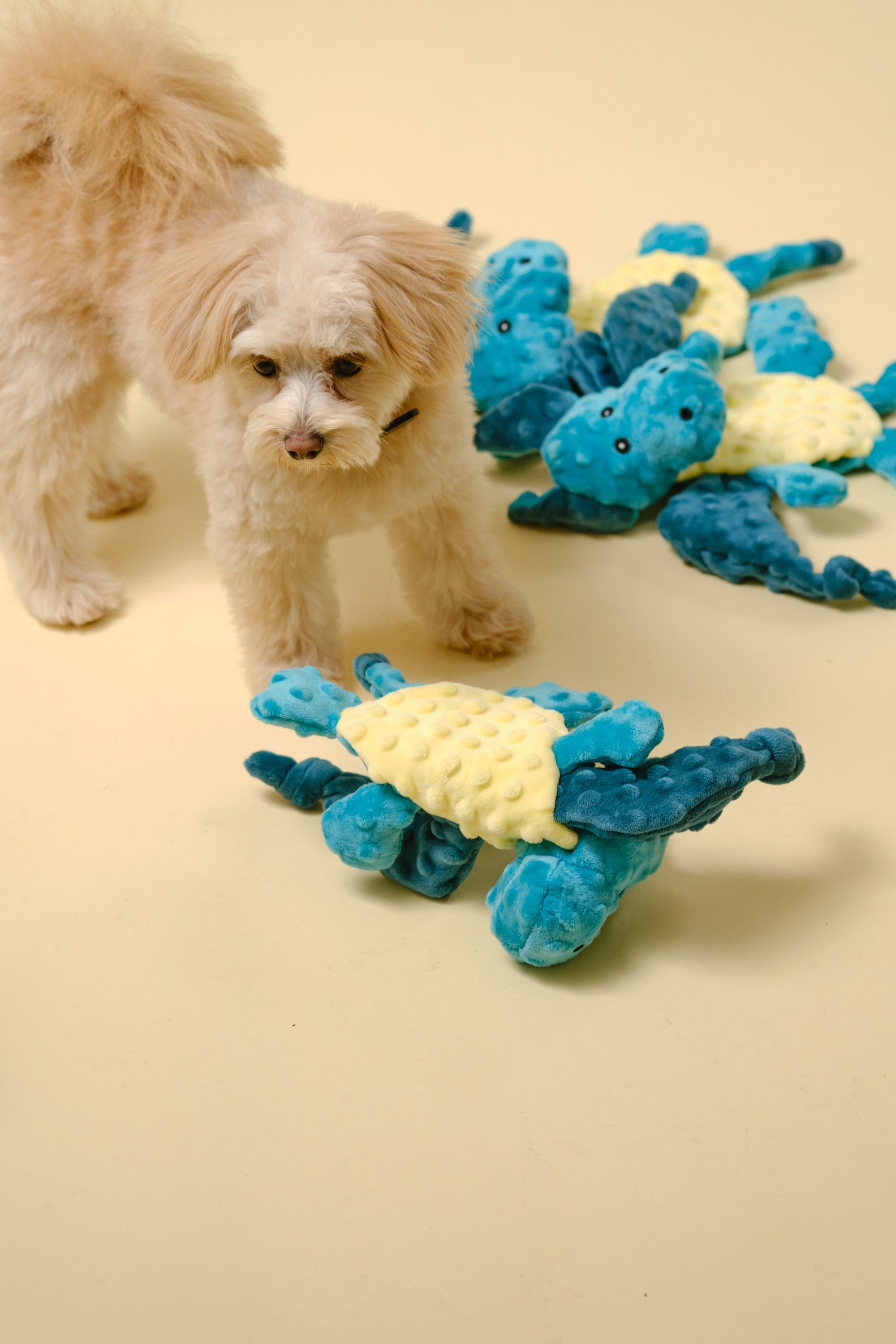 【狗狗玩具】沙沙作响动物玩具（蝙蝠）