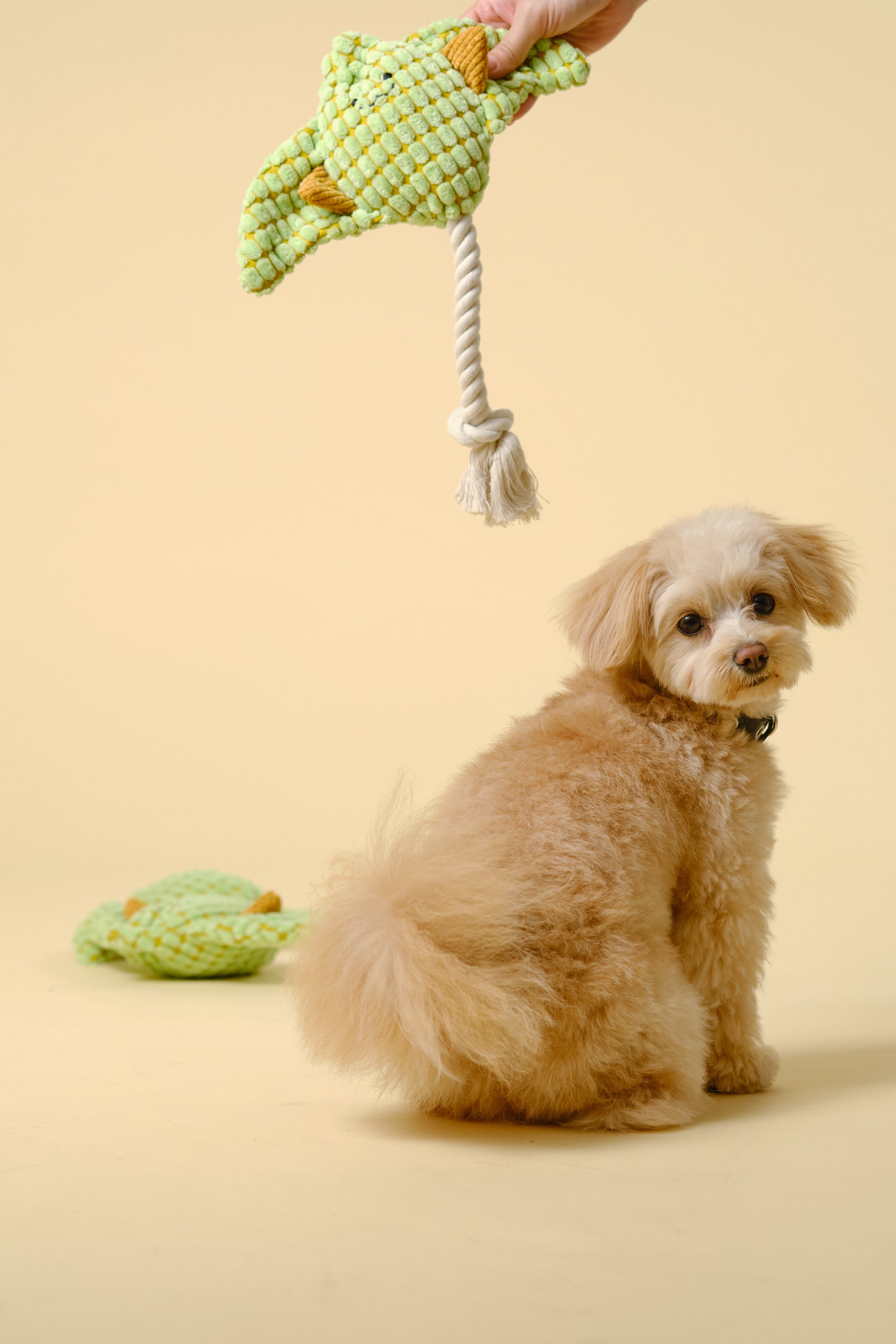 【狗狗玩具】带绳动物玩具（鲾）