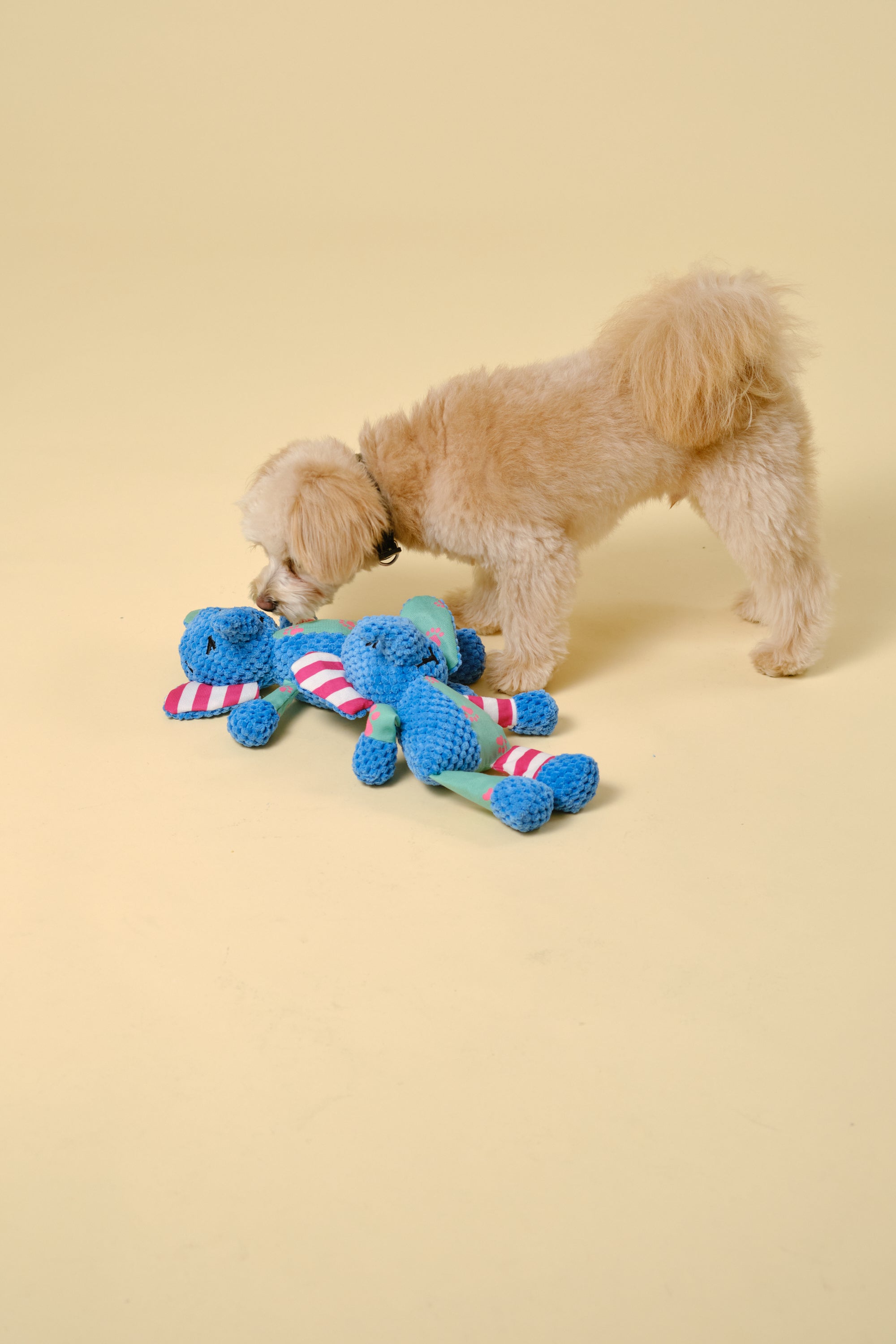 【狗狗玩具】动物玩具（大象）