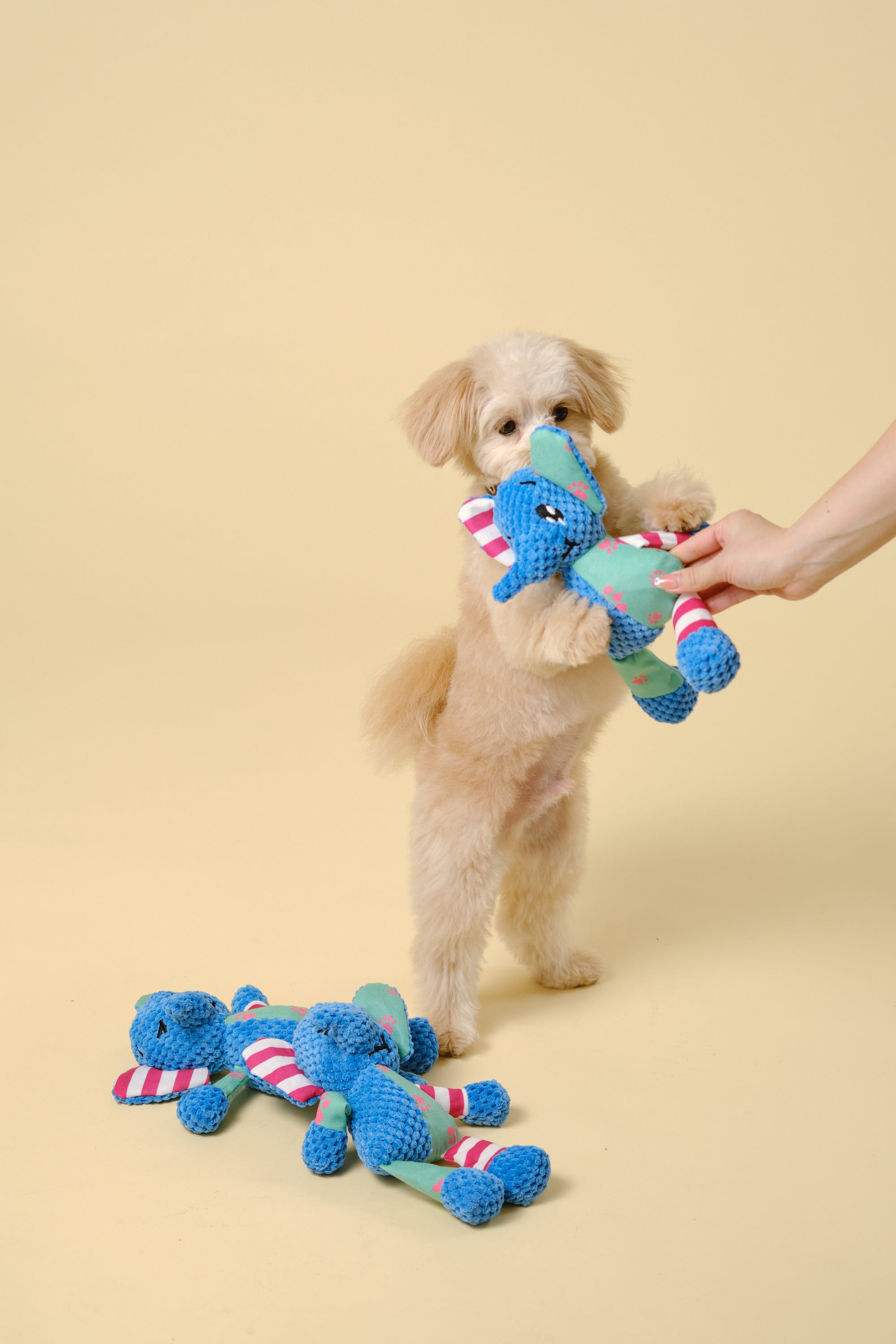 【狗狗玩具】动物玩具（大象）