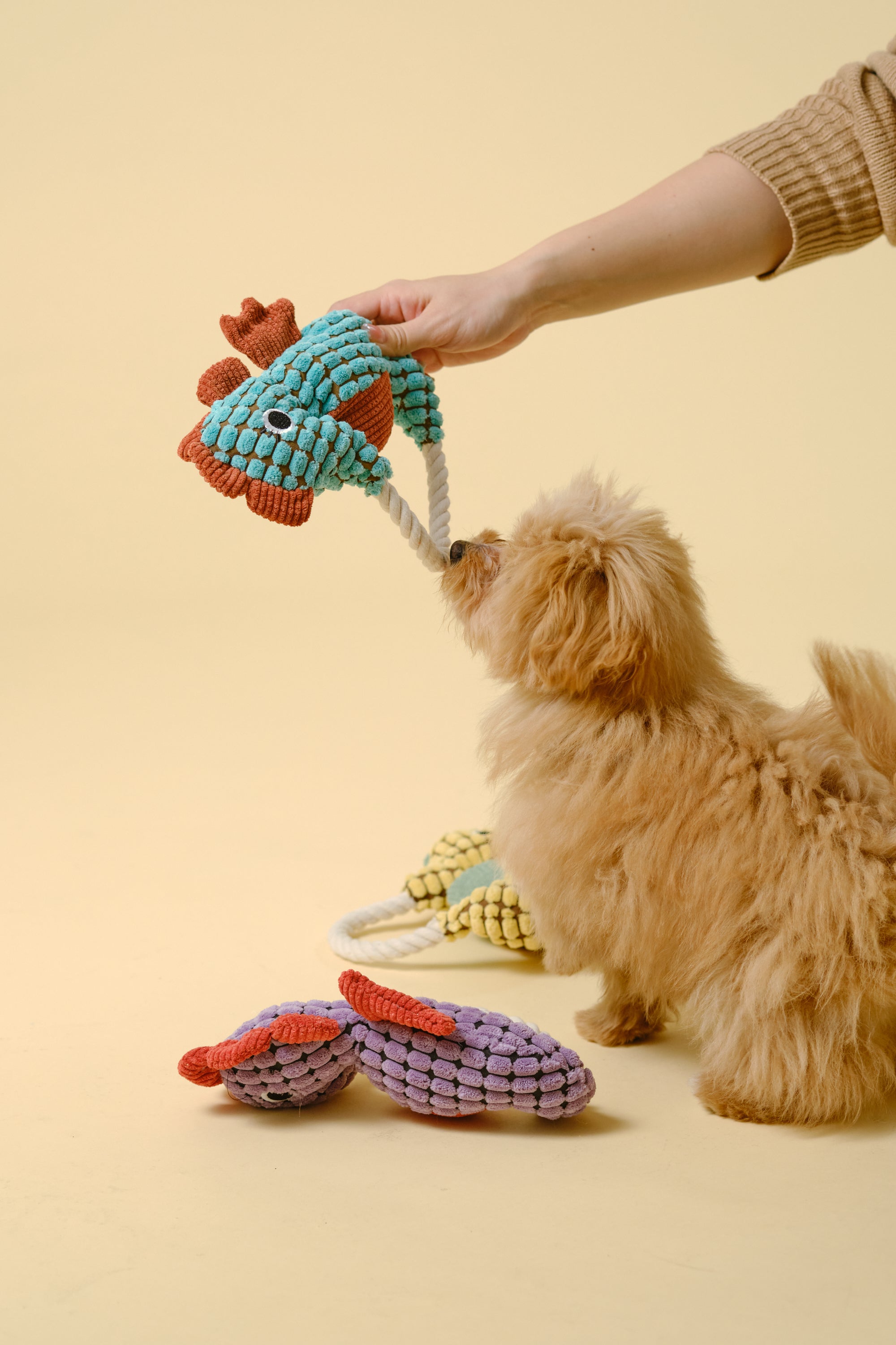 【狗狗玩具】带绳动物玩具（海马）