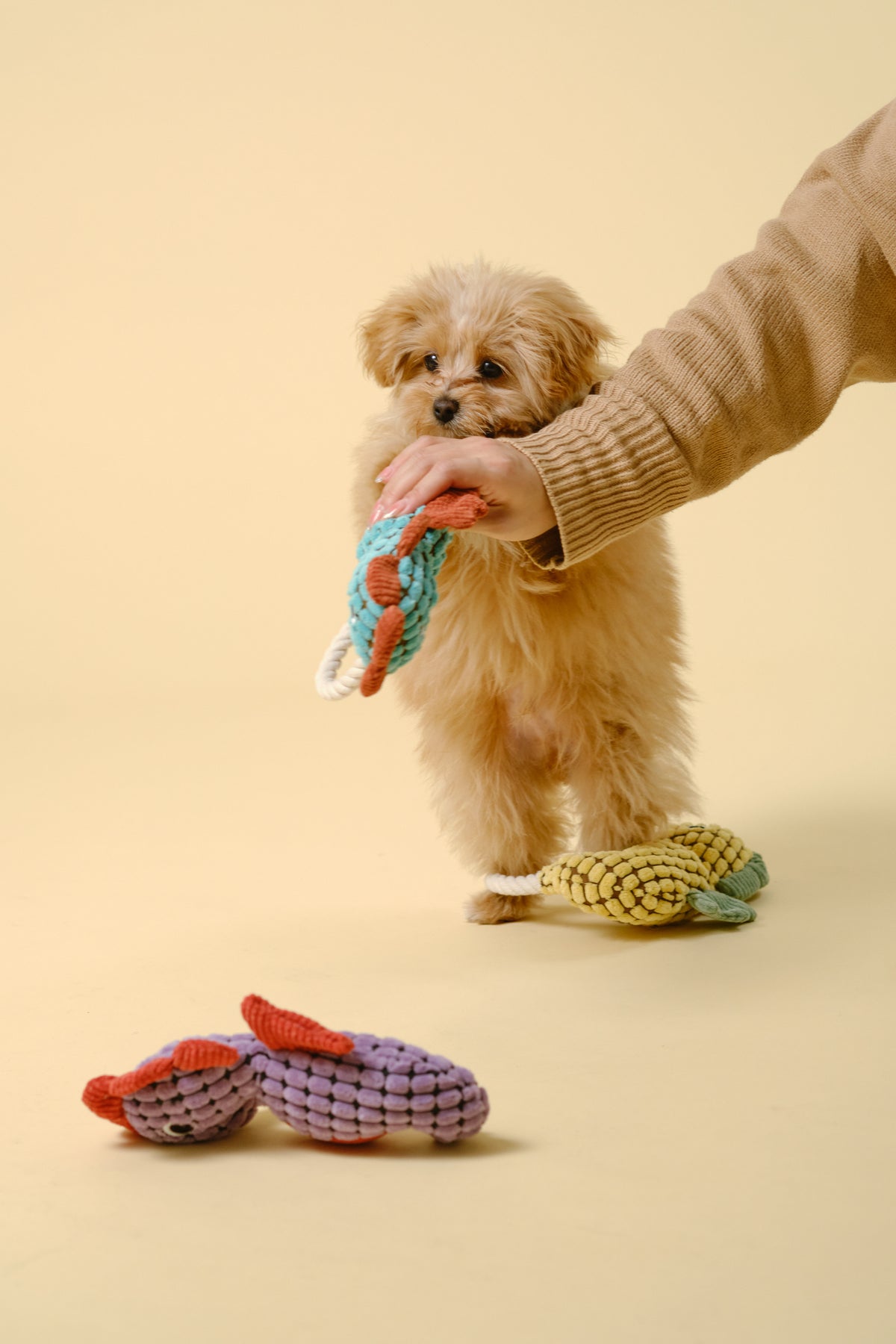 【犬用おもちゃ】ロープ付きアニマルトイ（タツノオトシゴ）