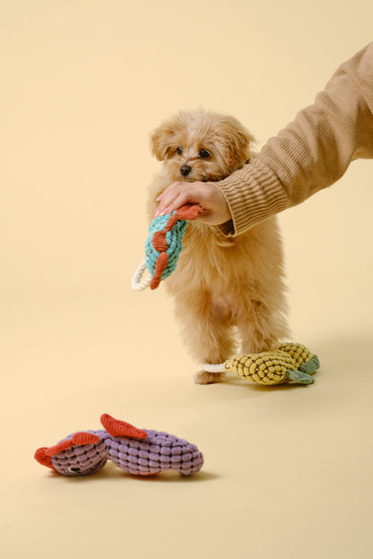 【犬用おもちゃ】ロープ付きアニマルトイ（タツノオトシゴ）