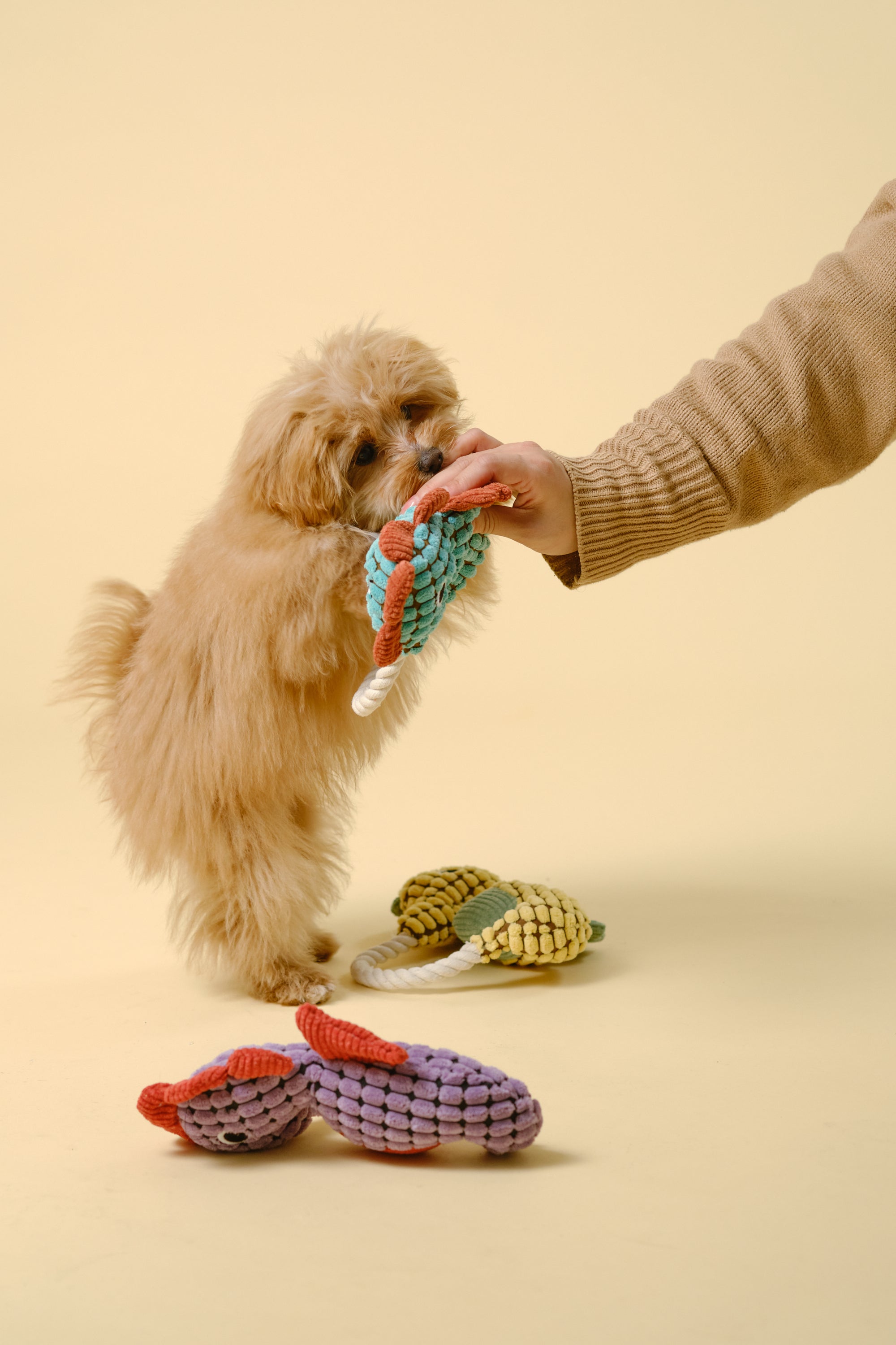 【狗狗玩具】带绳动物玩具（海马）