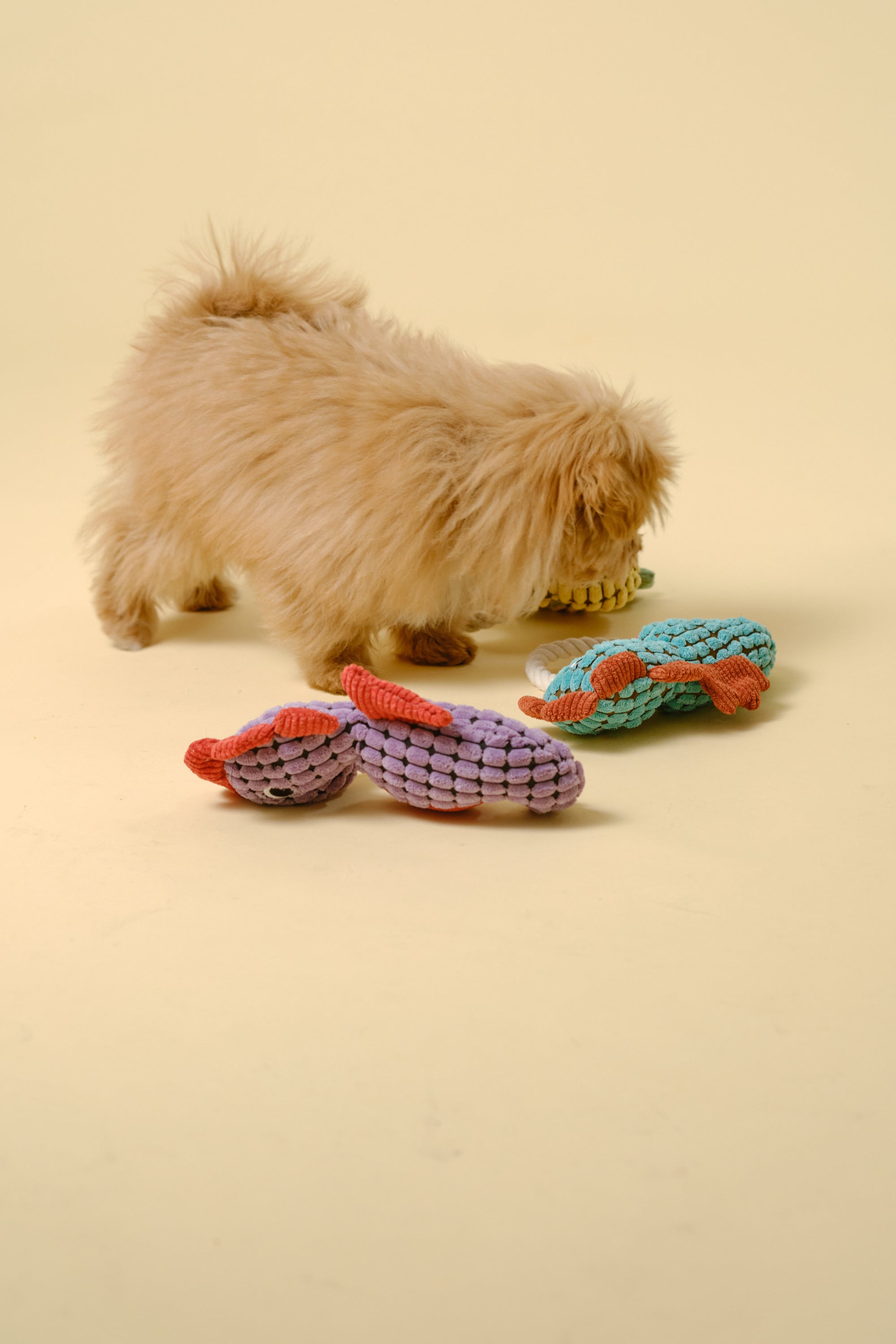 【狗狗玩具】带绳动物玩具（海马）