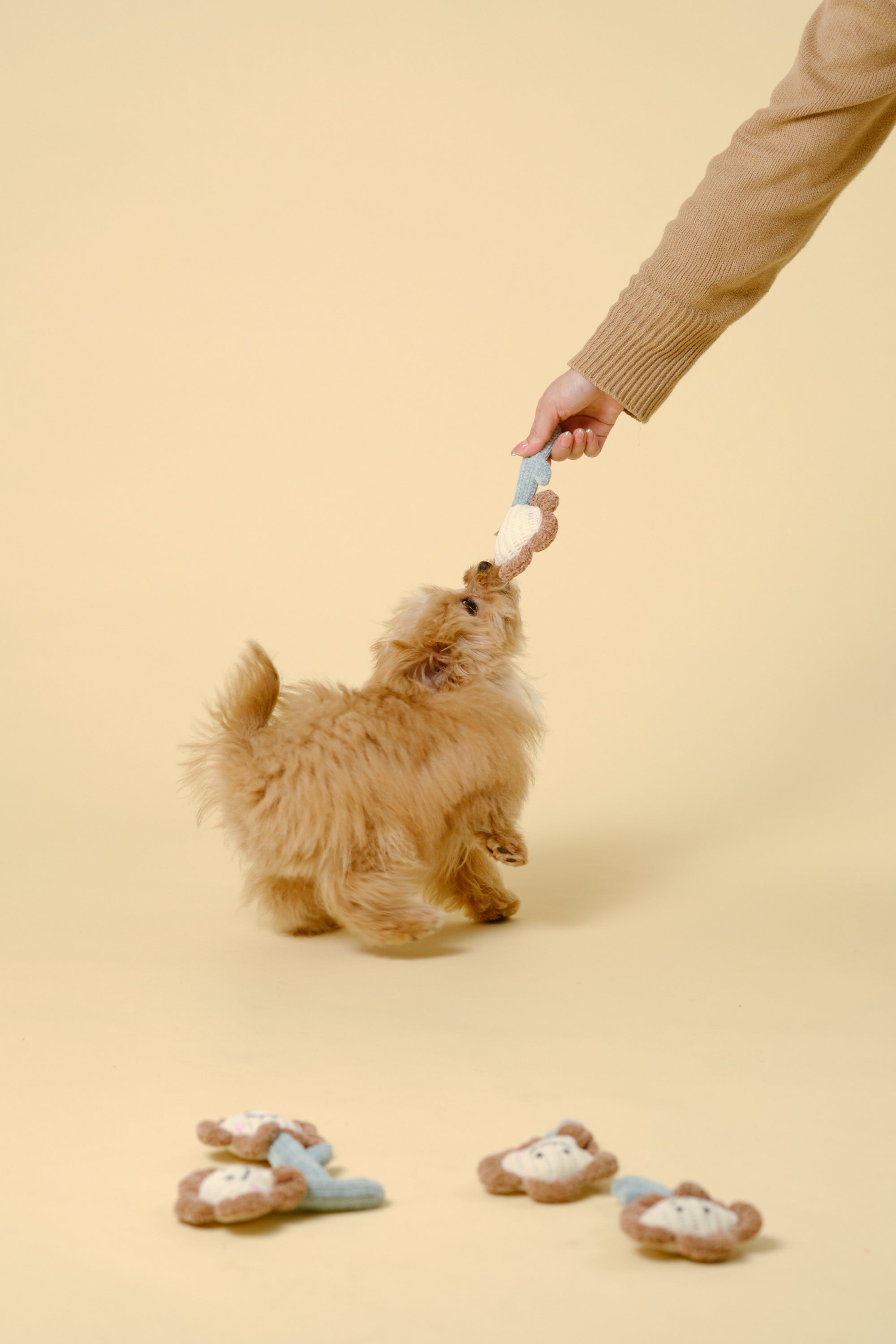 【狗狗玩具】迷你软体玩具（花朵）