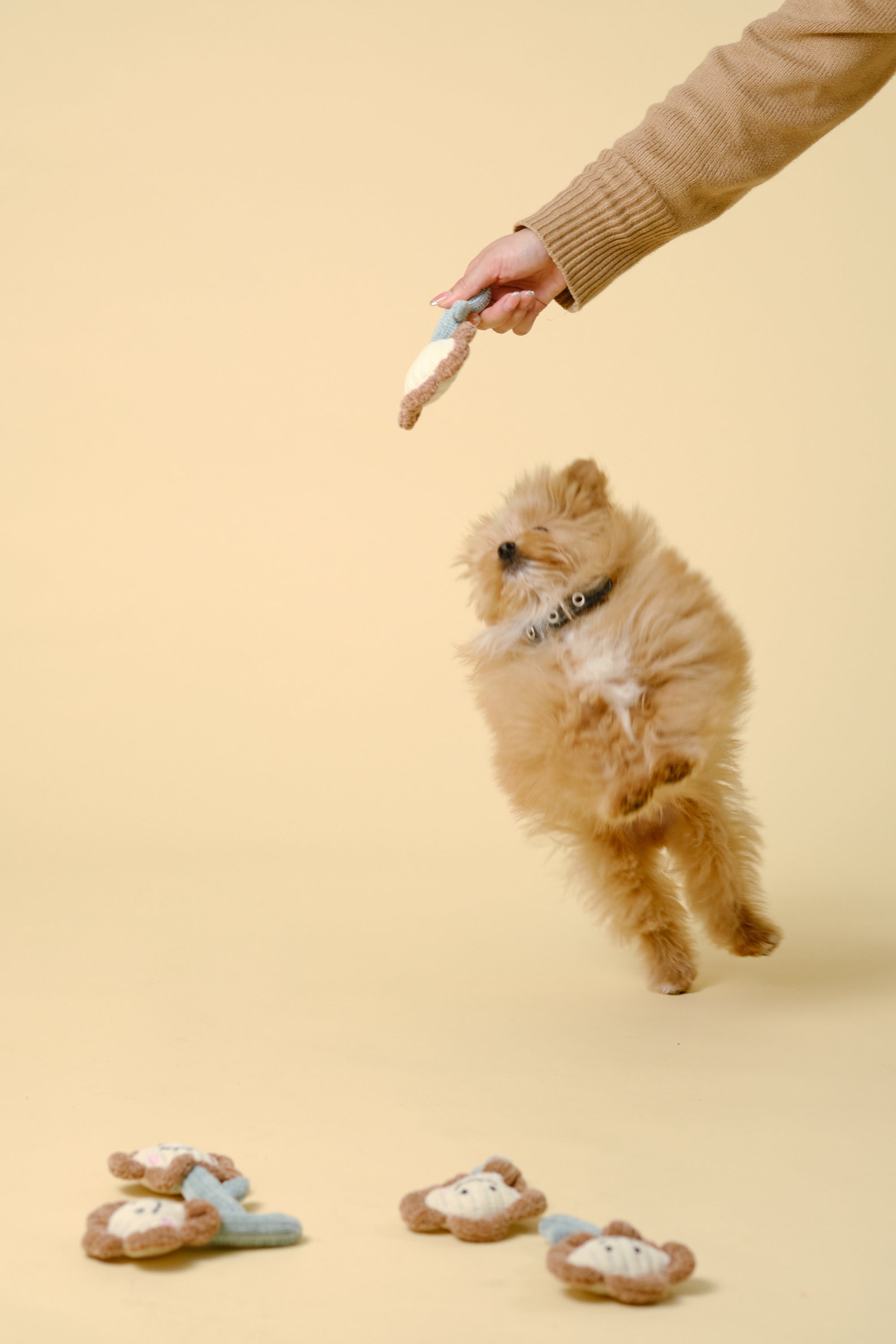 【狗狗玩具】迷你软体玩具（花朵）