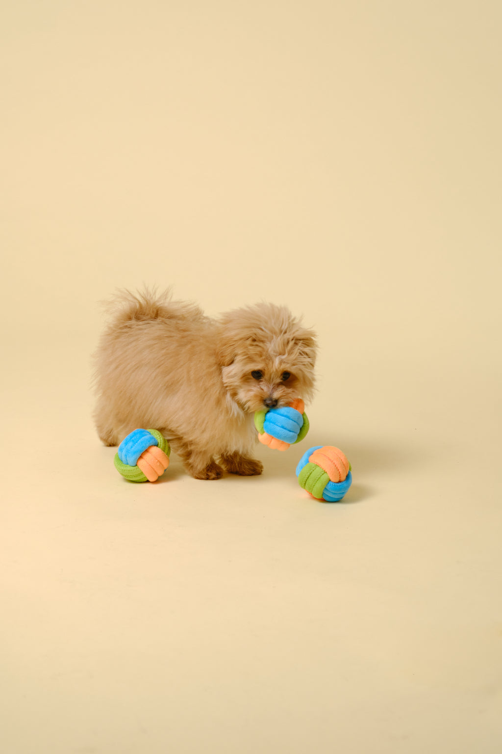 【犬用おもちゃ】デンタルボール