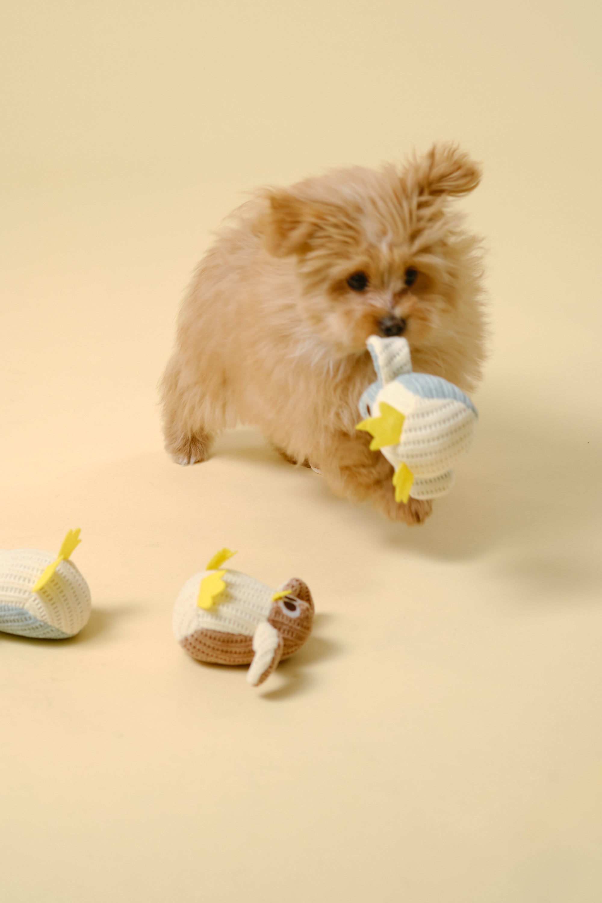 【狗狗玩具】迷你软体玩具（小鸡）