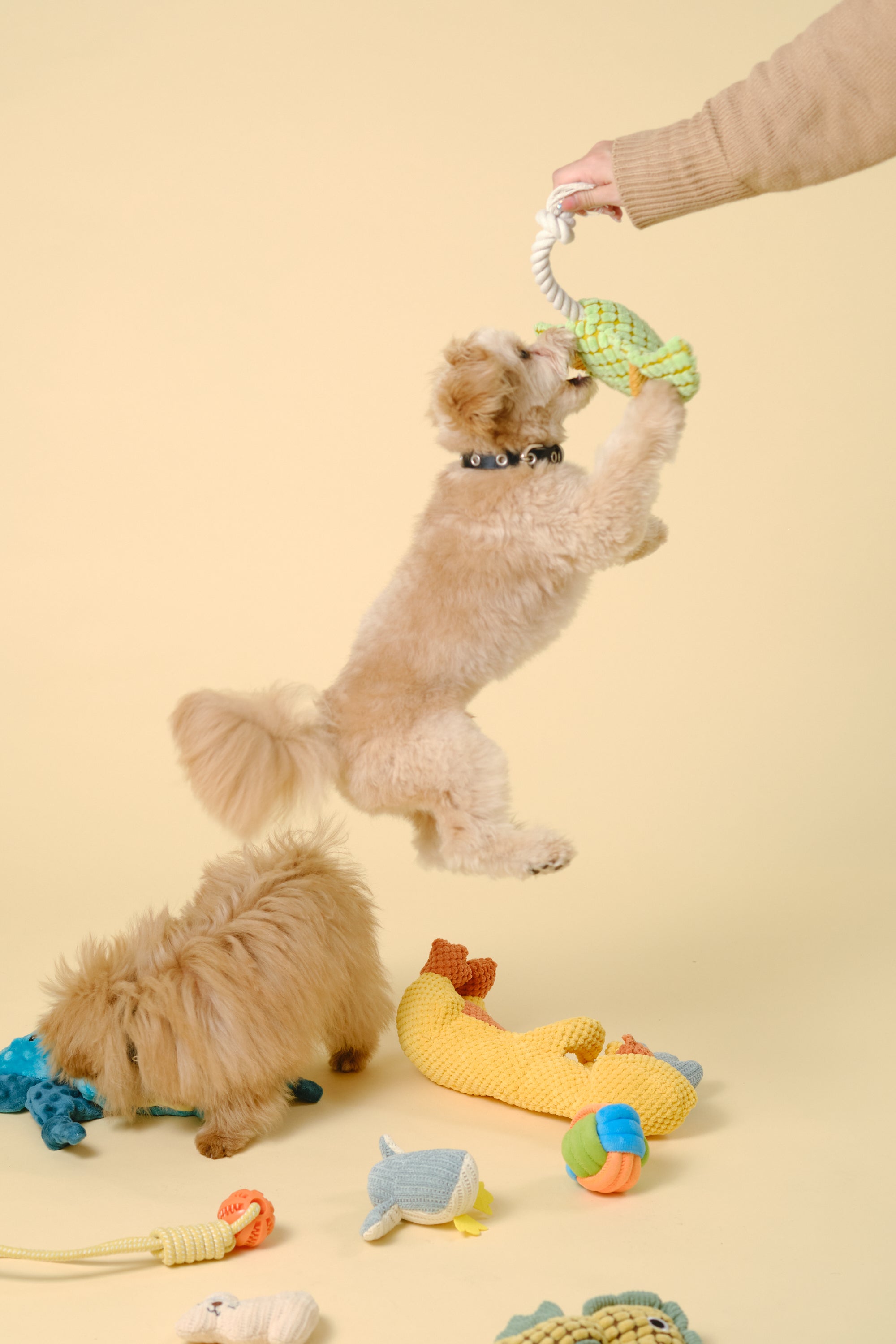 【狗狗玩具】带绳动物玩具（鲾）