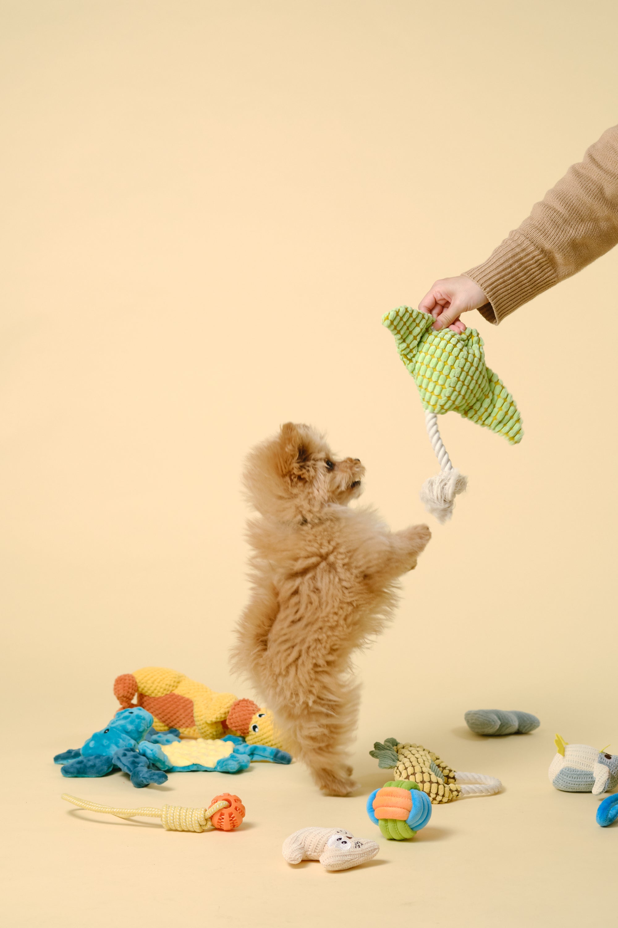 【狗狗玩具】带绳动物玩具（鲾）