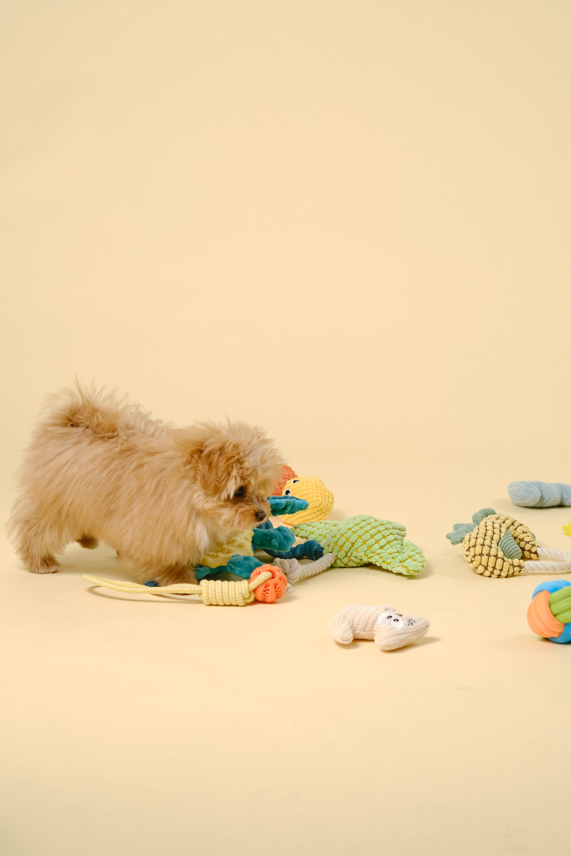 【狗狗玩具】迷你软体玩具（猫）