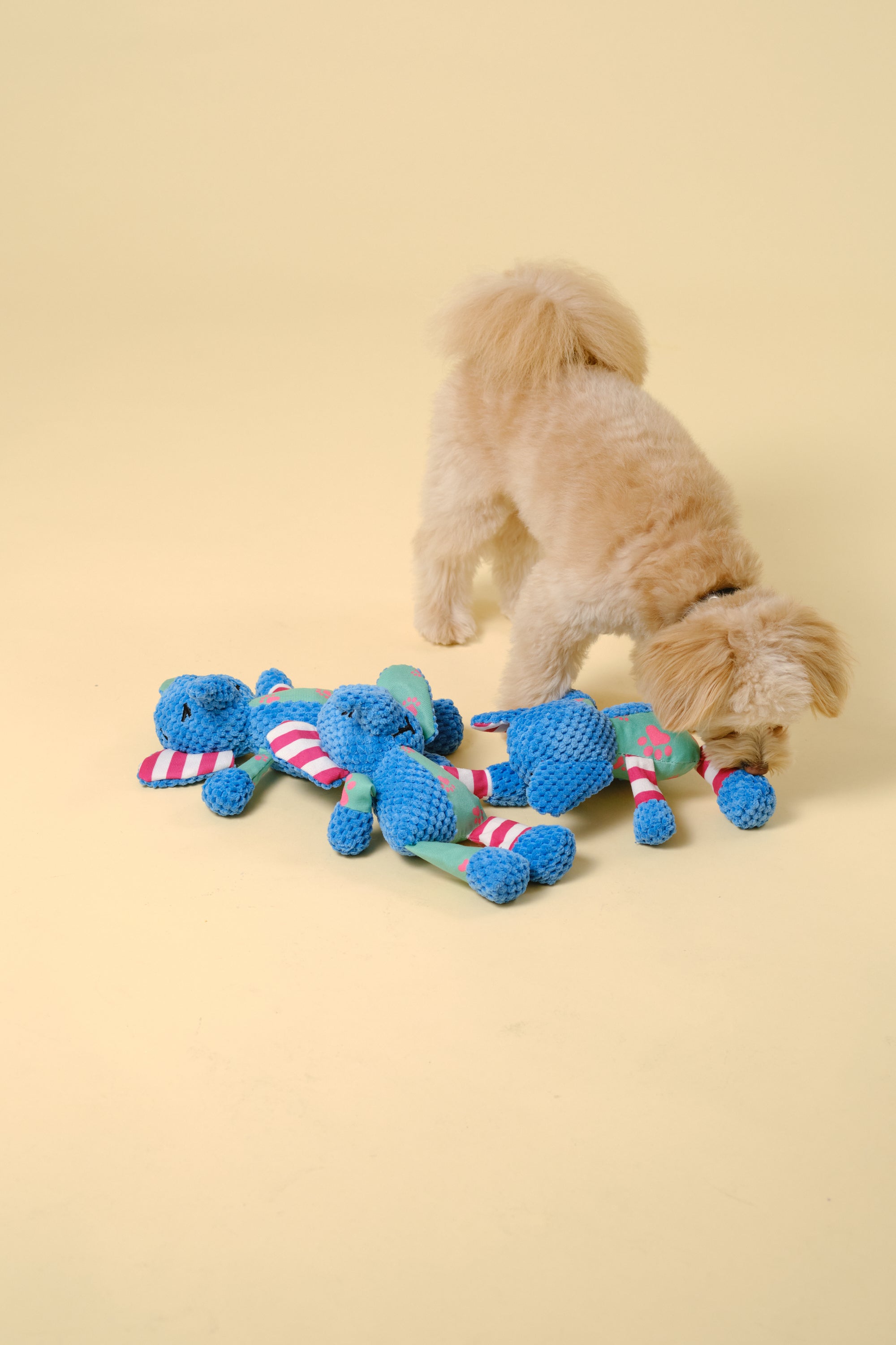 【狗狗玩具】动物玩具（大象）