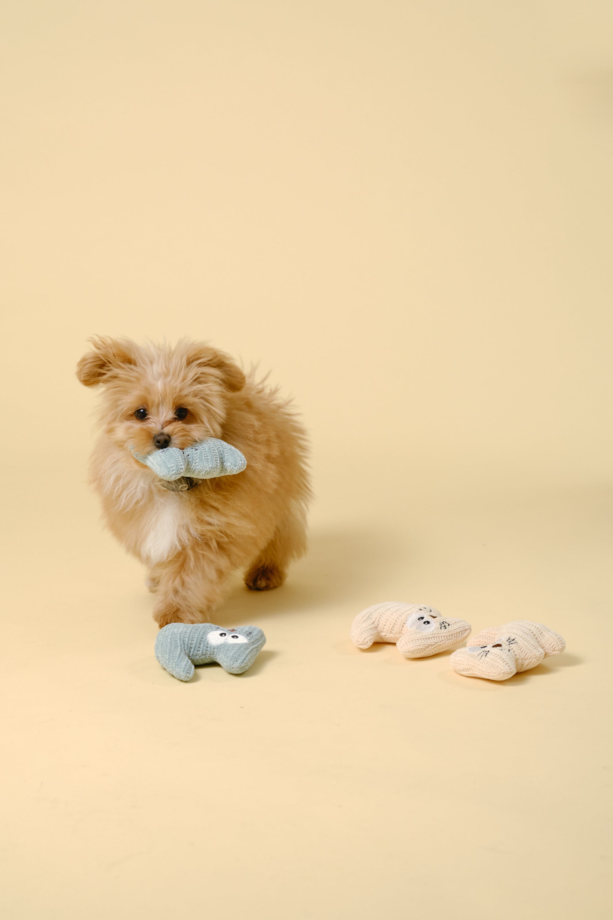 【狗狗玩具】迷你软体玩具（猫）