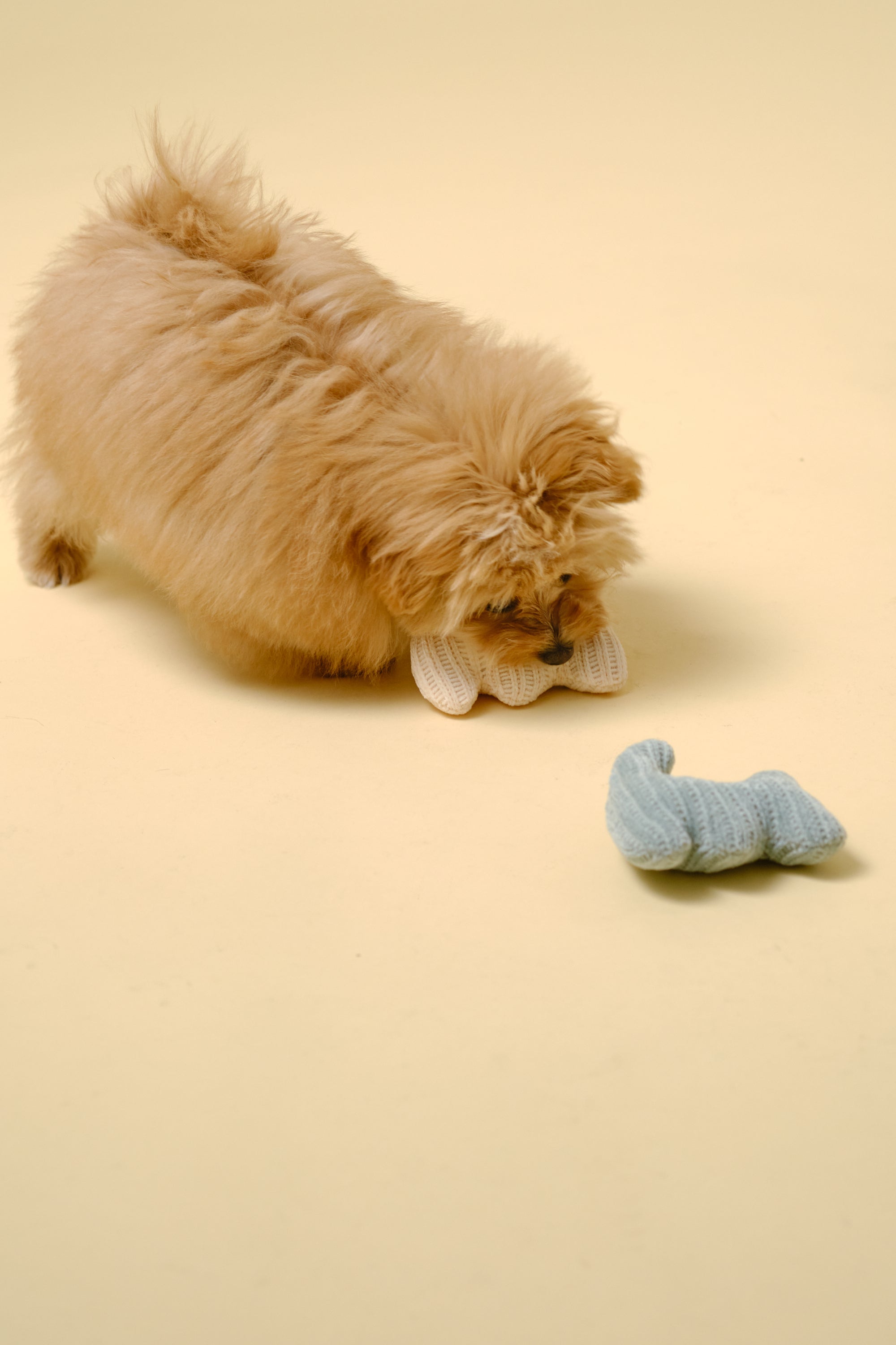 【狗狗玩具】迷你软体玩具（猫）