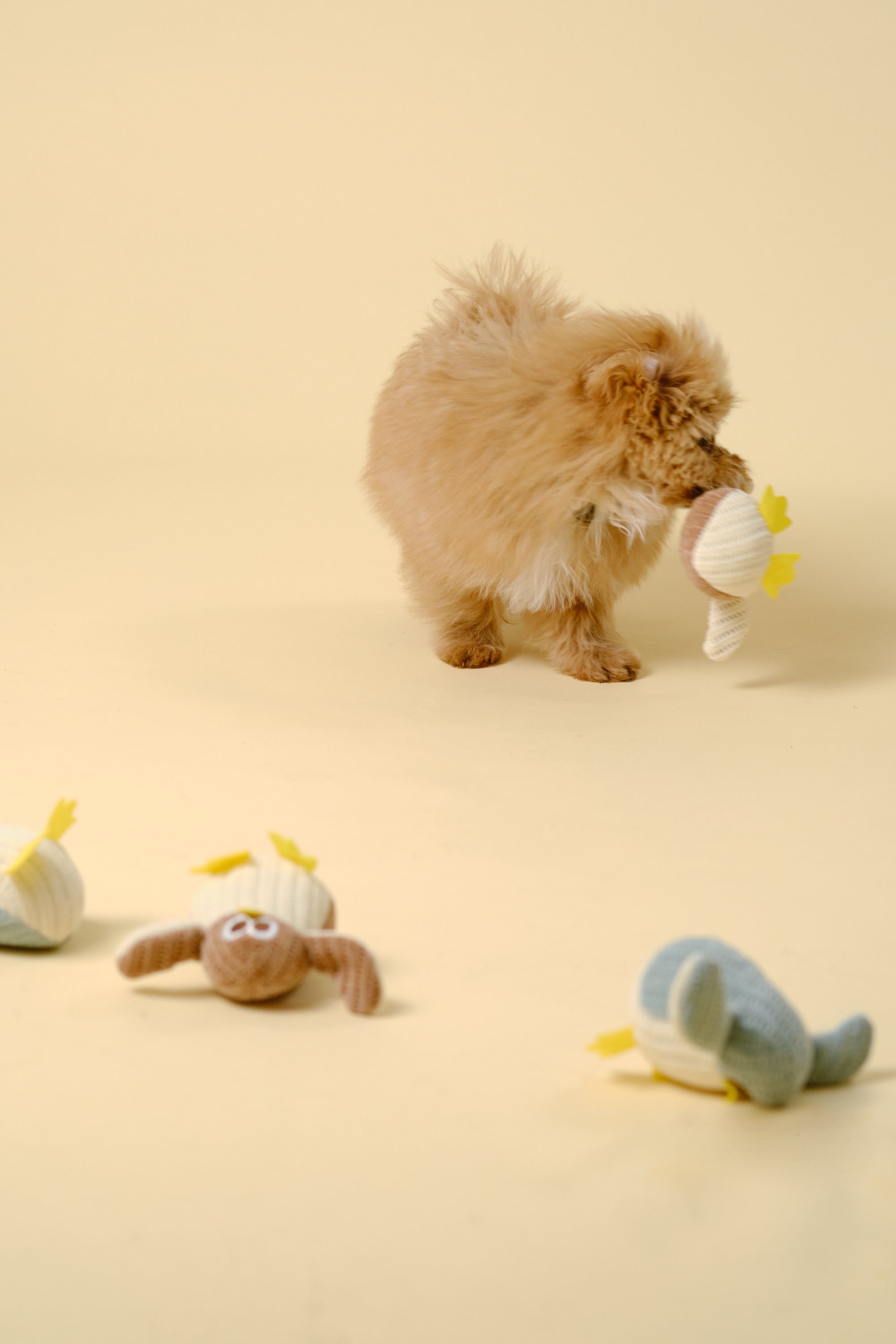 【狗狗玩具】迷你软体玩具（小鸡）