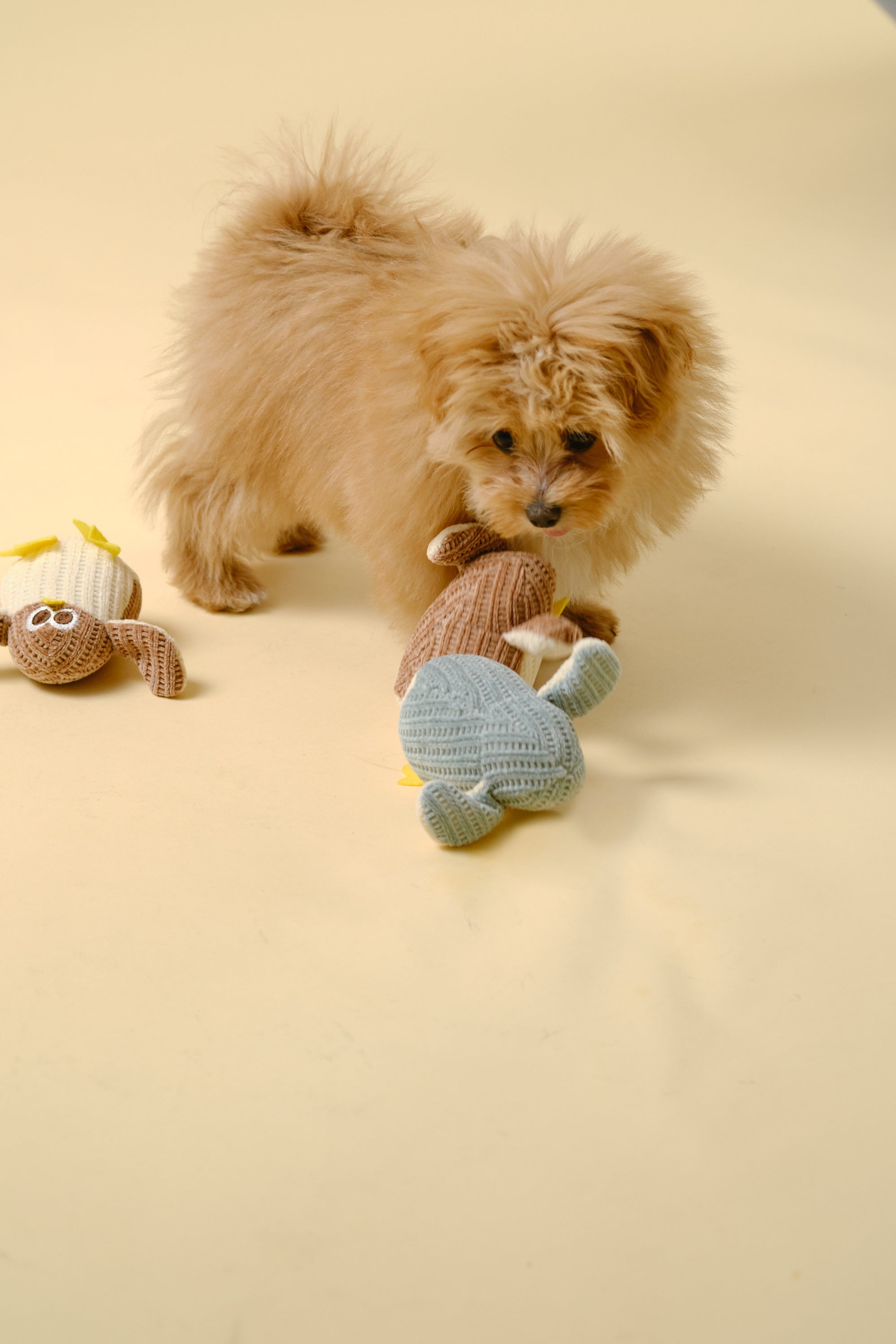 【狗狗玩具】迷你软体玩具（小鸡）