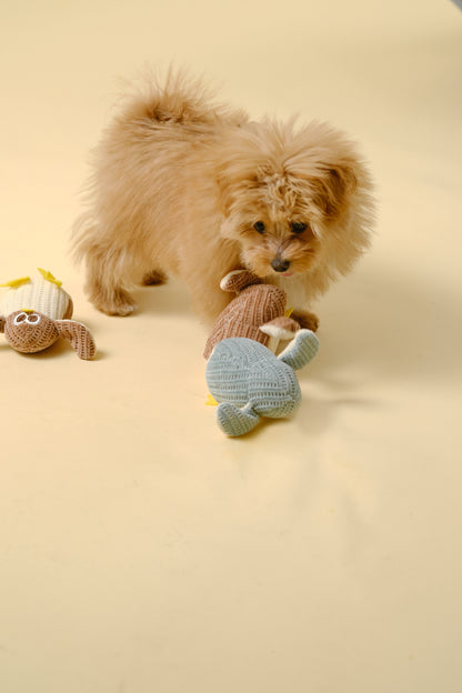 [Dog Toy] Mini Soft Toy (Chick)