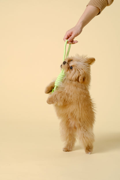 【犬用おもちゃ】トリーツディスペンサー付きデンタルロープトイ