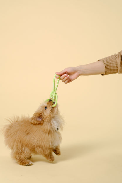 【犬用おもちゃ】トリーツディスペンサー付きデンタルロープトイ