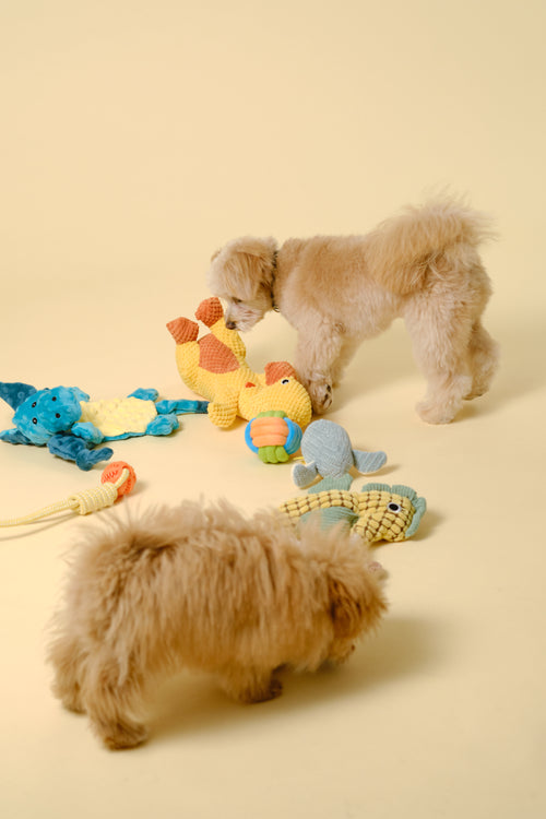 【ギフトBOX】おもちゃランダム詰め合わせ