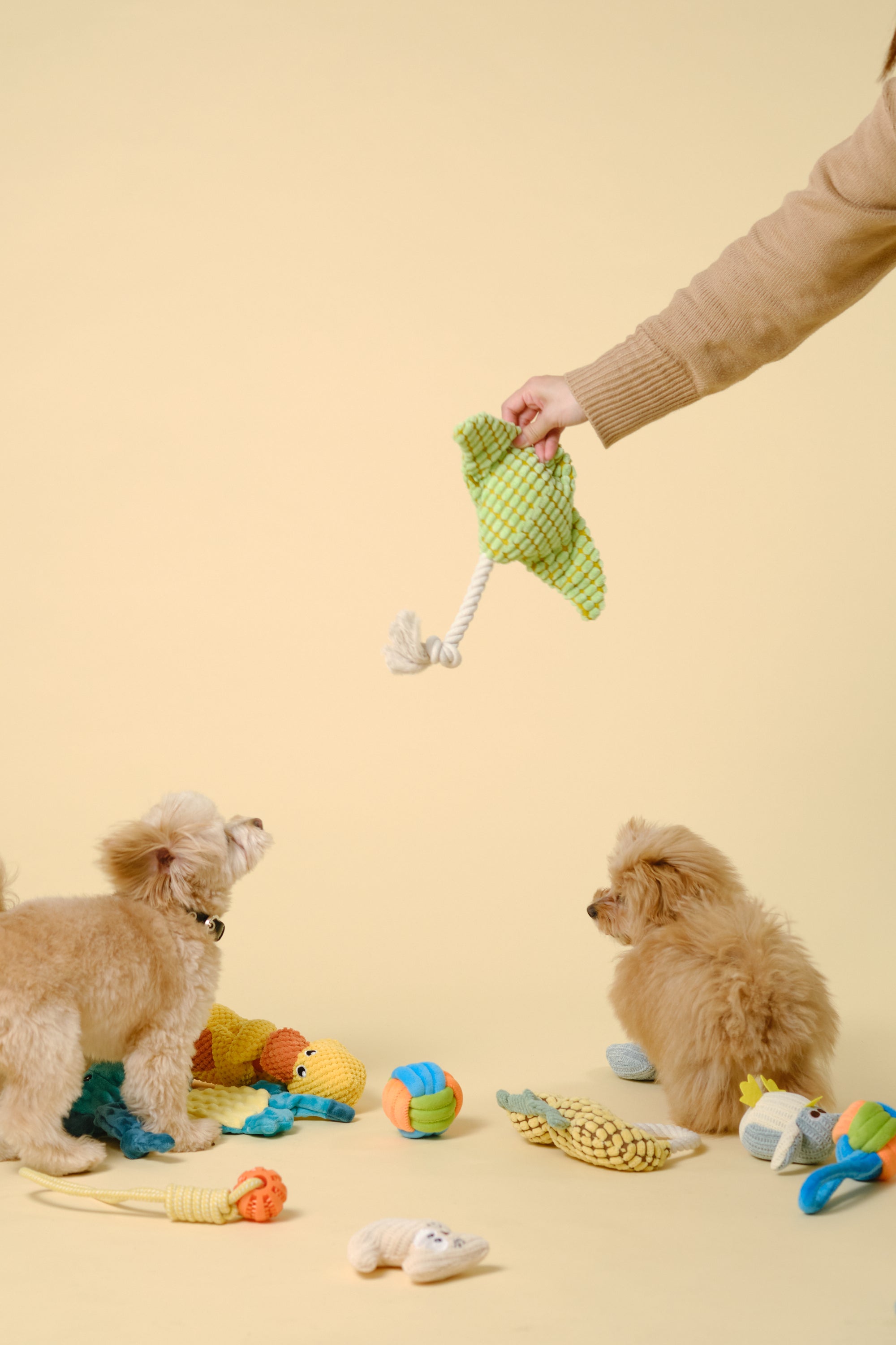 【礼品盒】随机玩具组合装