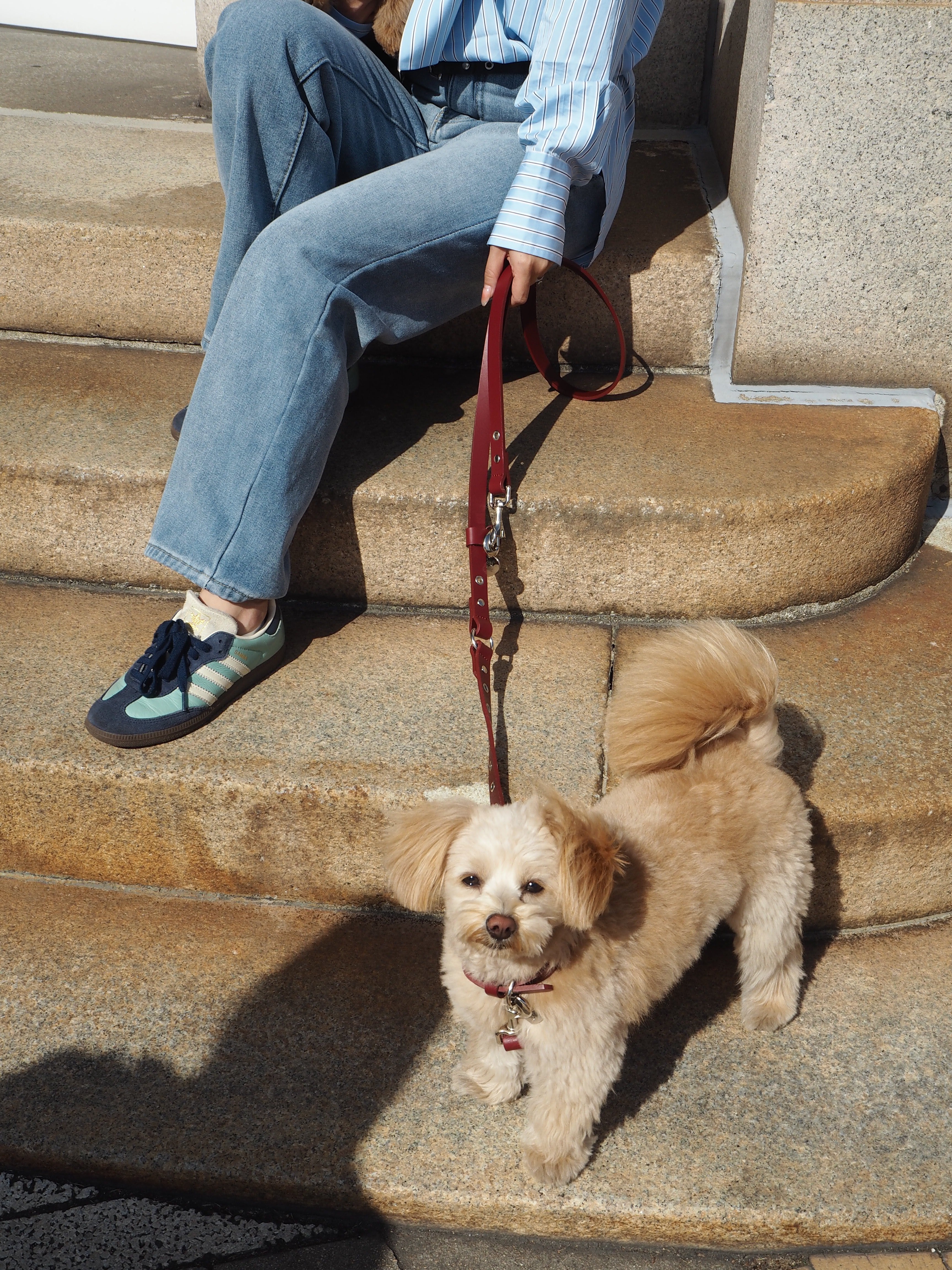 【三向牵引绳】皮革系列红色