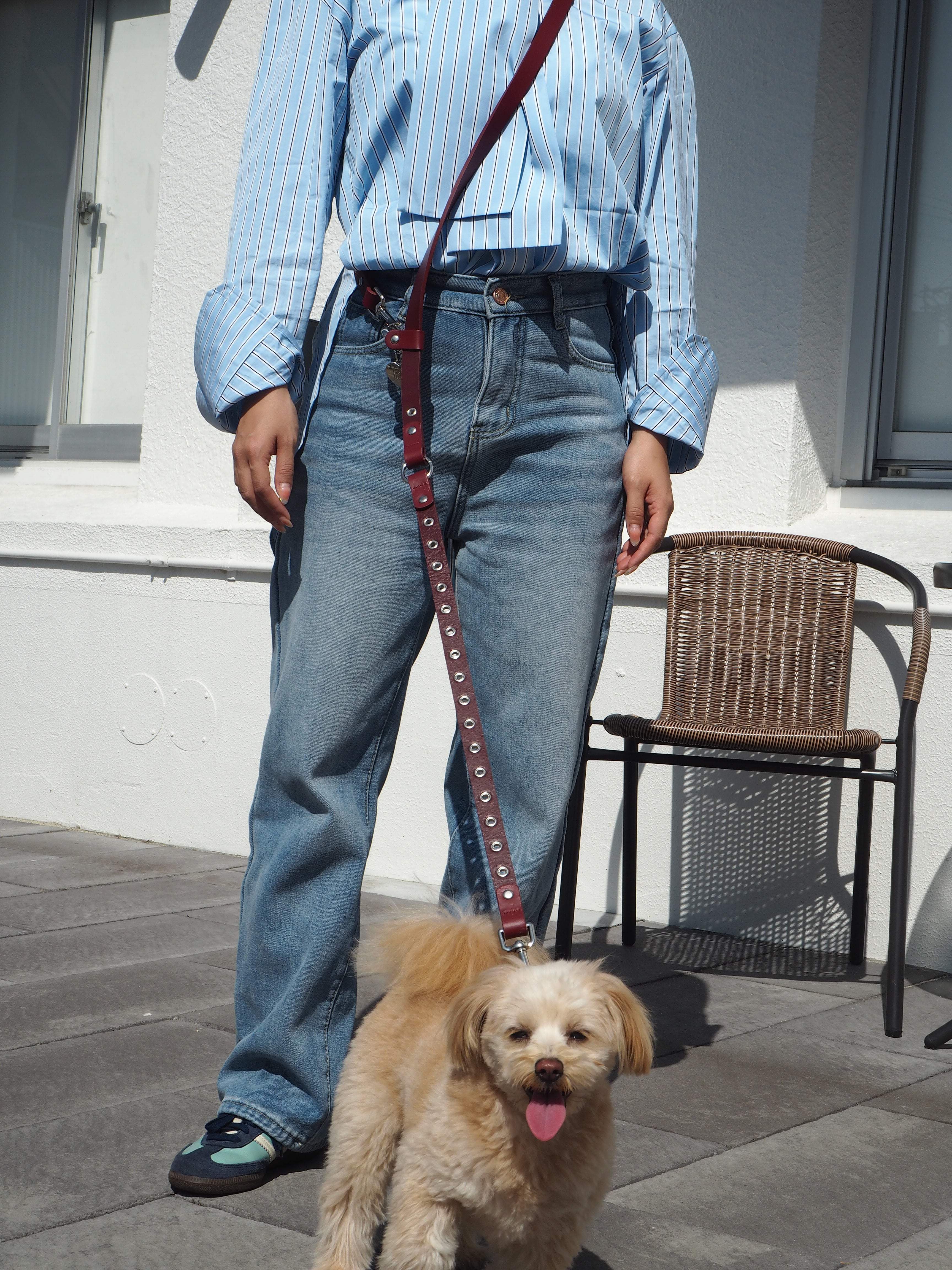 【三向牵引绳】皮革系列红色